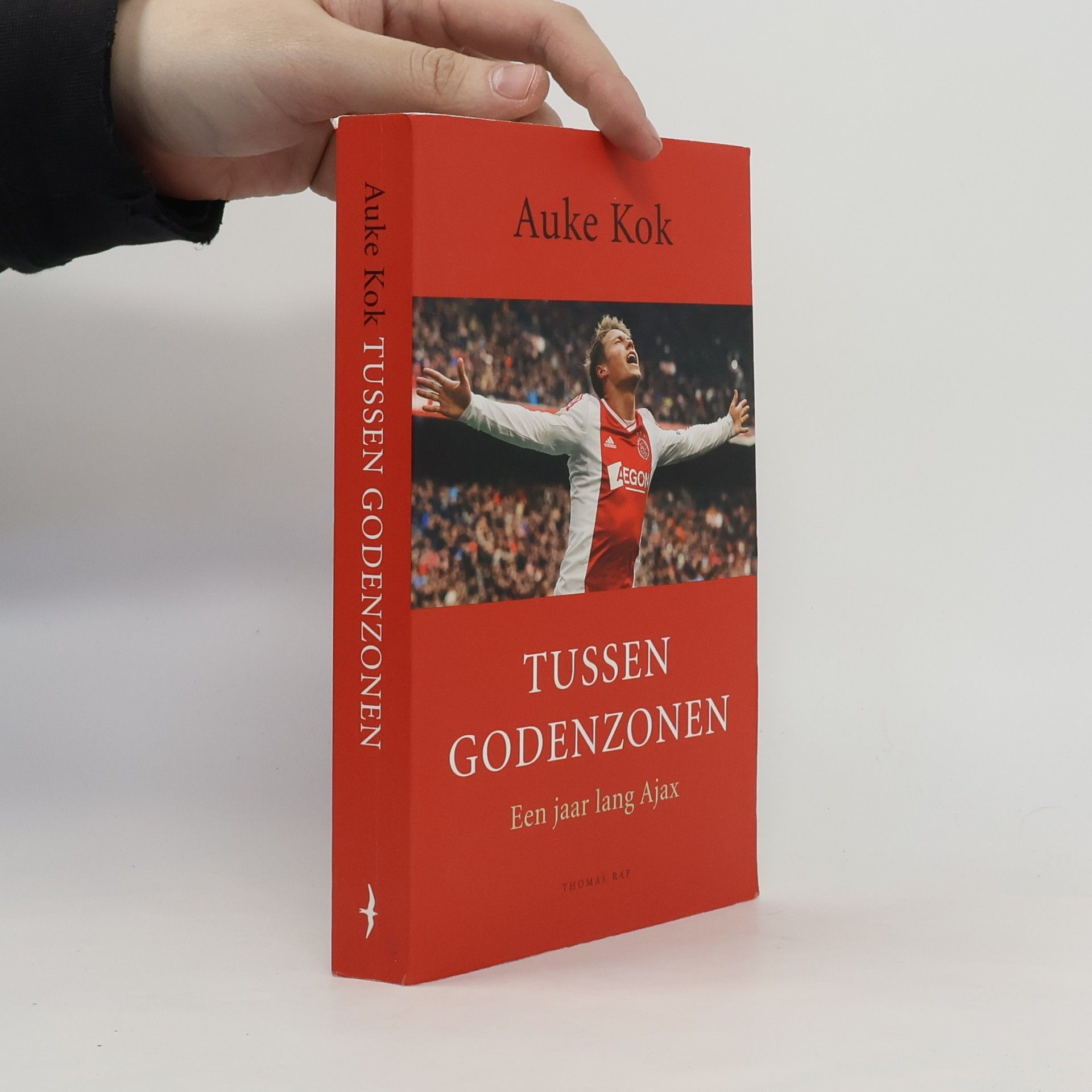 Auke Kok Tussen godenzonen