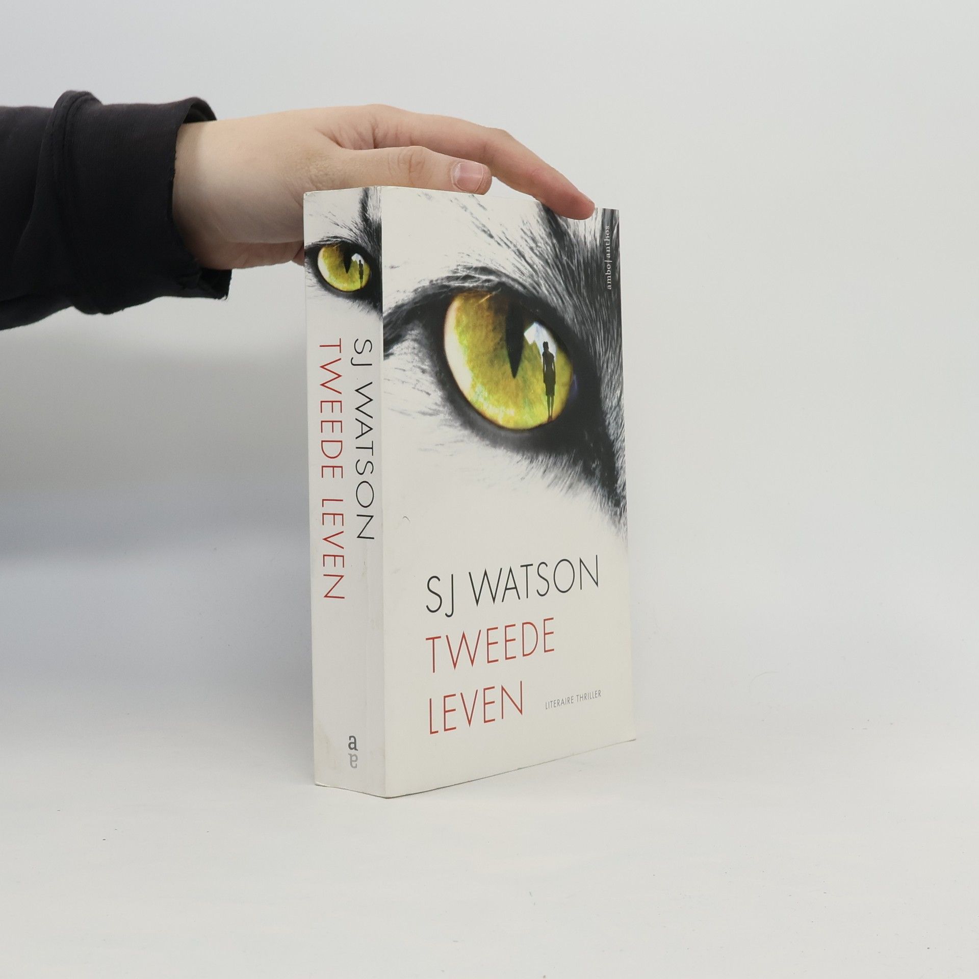 Ernst de Boer Tweede leven