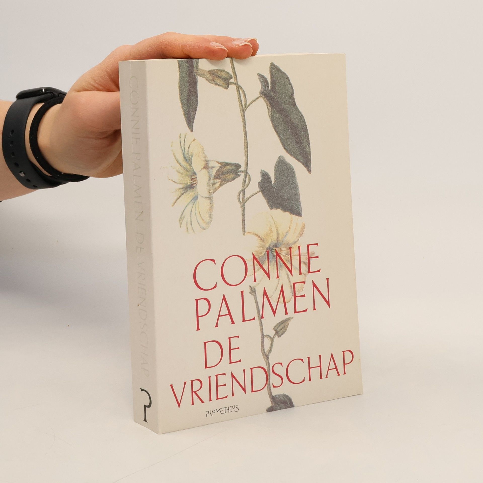 Connie Palmen De vriendschap