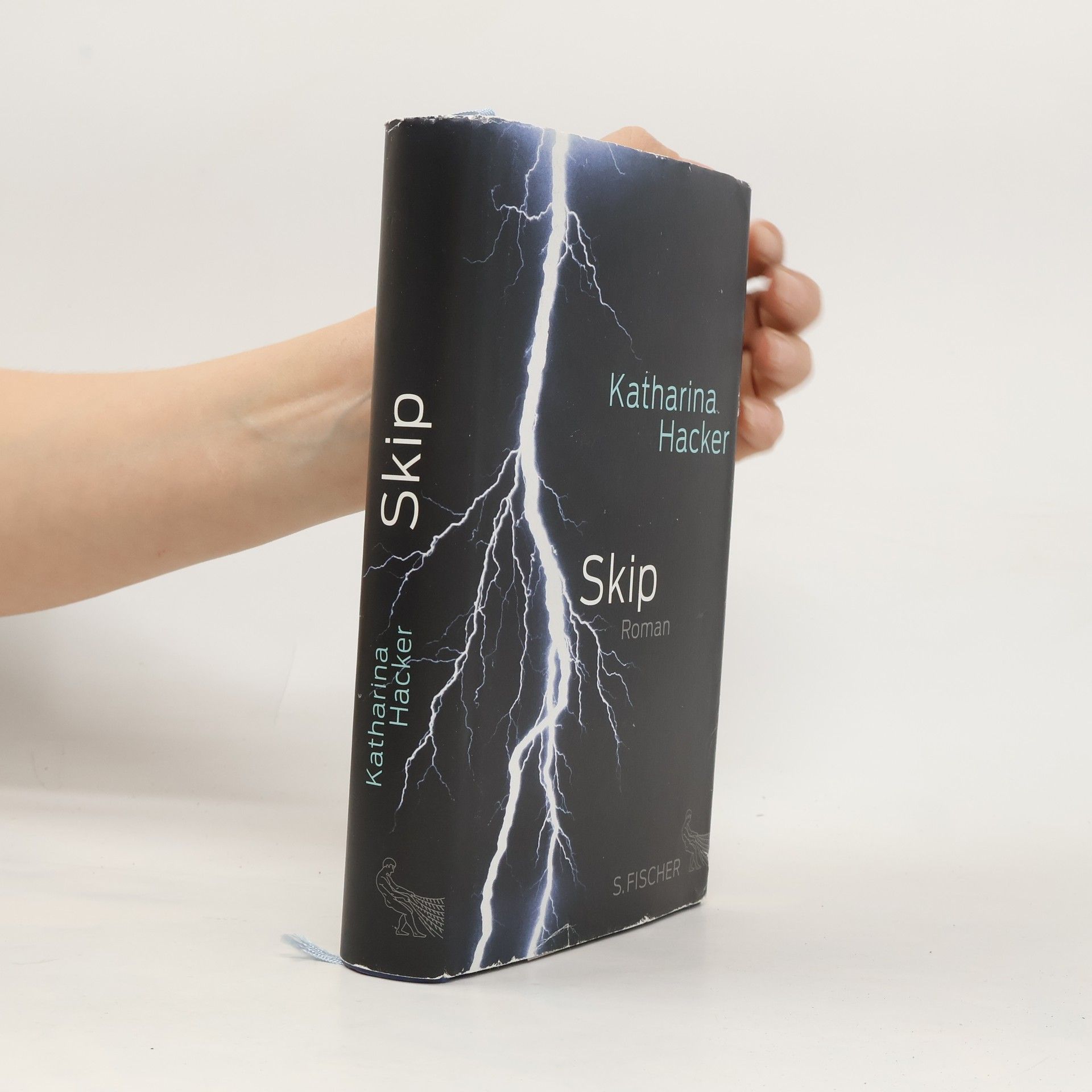 Katharina Hacker Skip
