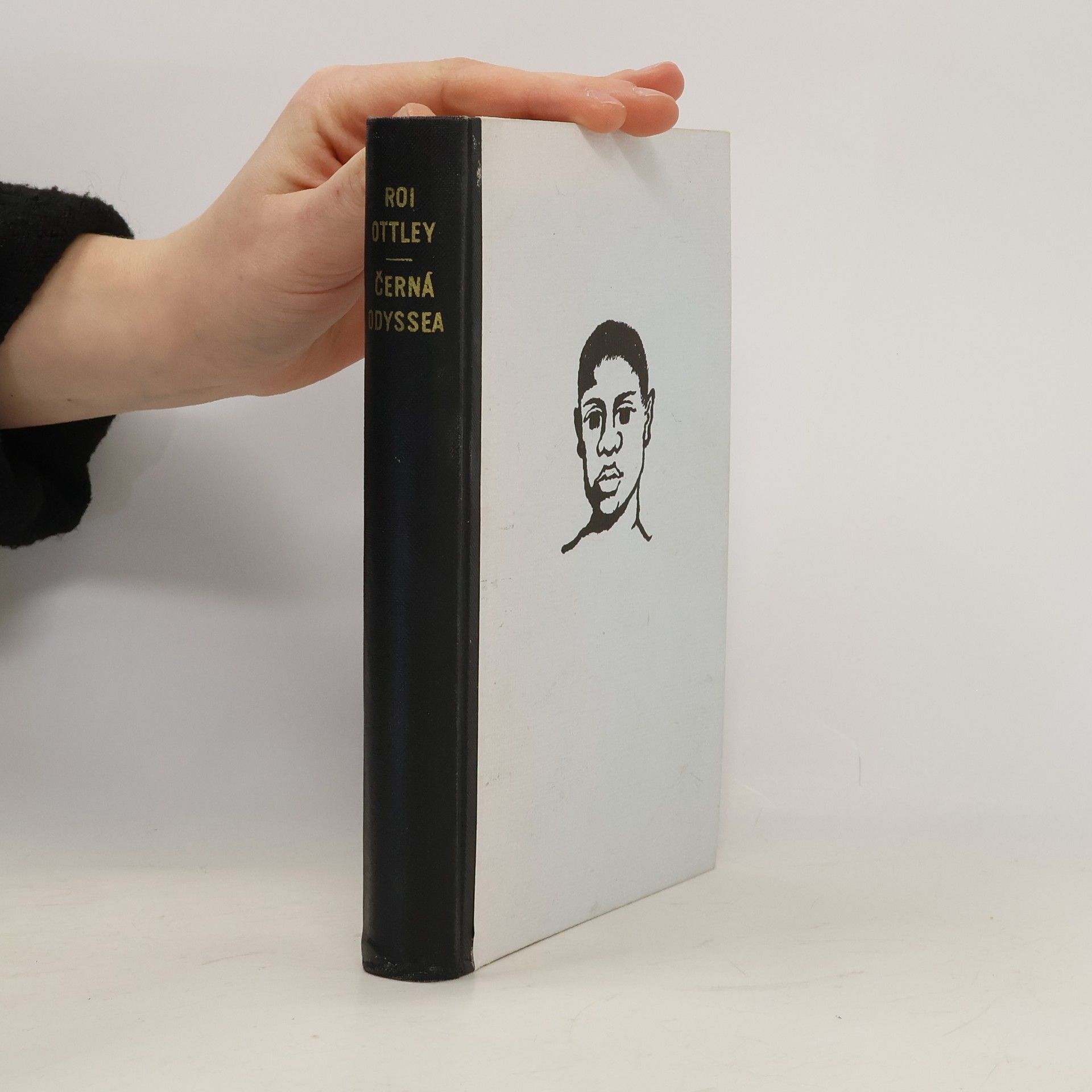 Černá Odyssea : osudy černého lidu Ameriky