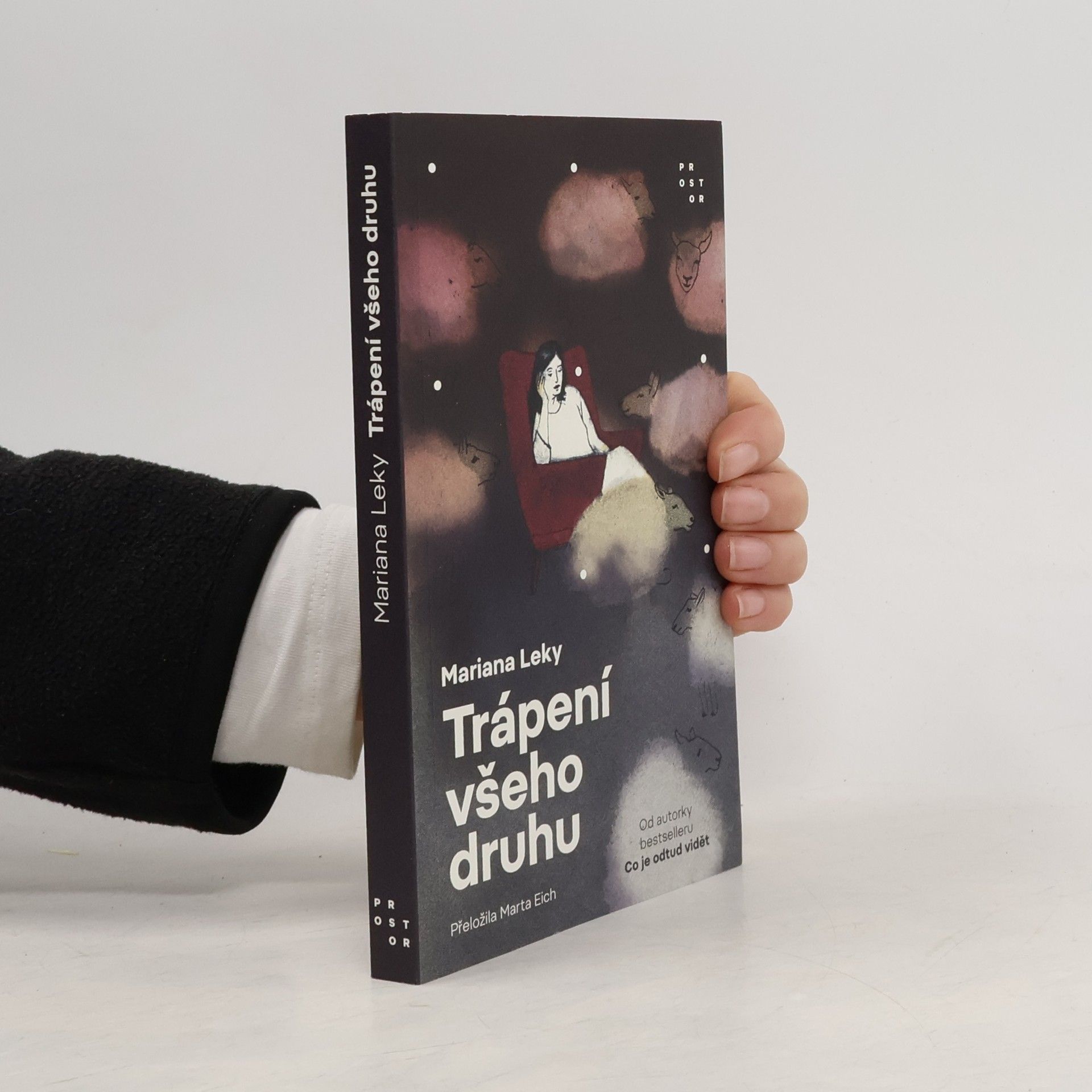 Marta Eich Trápení všeho druhu