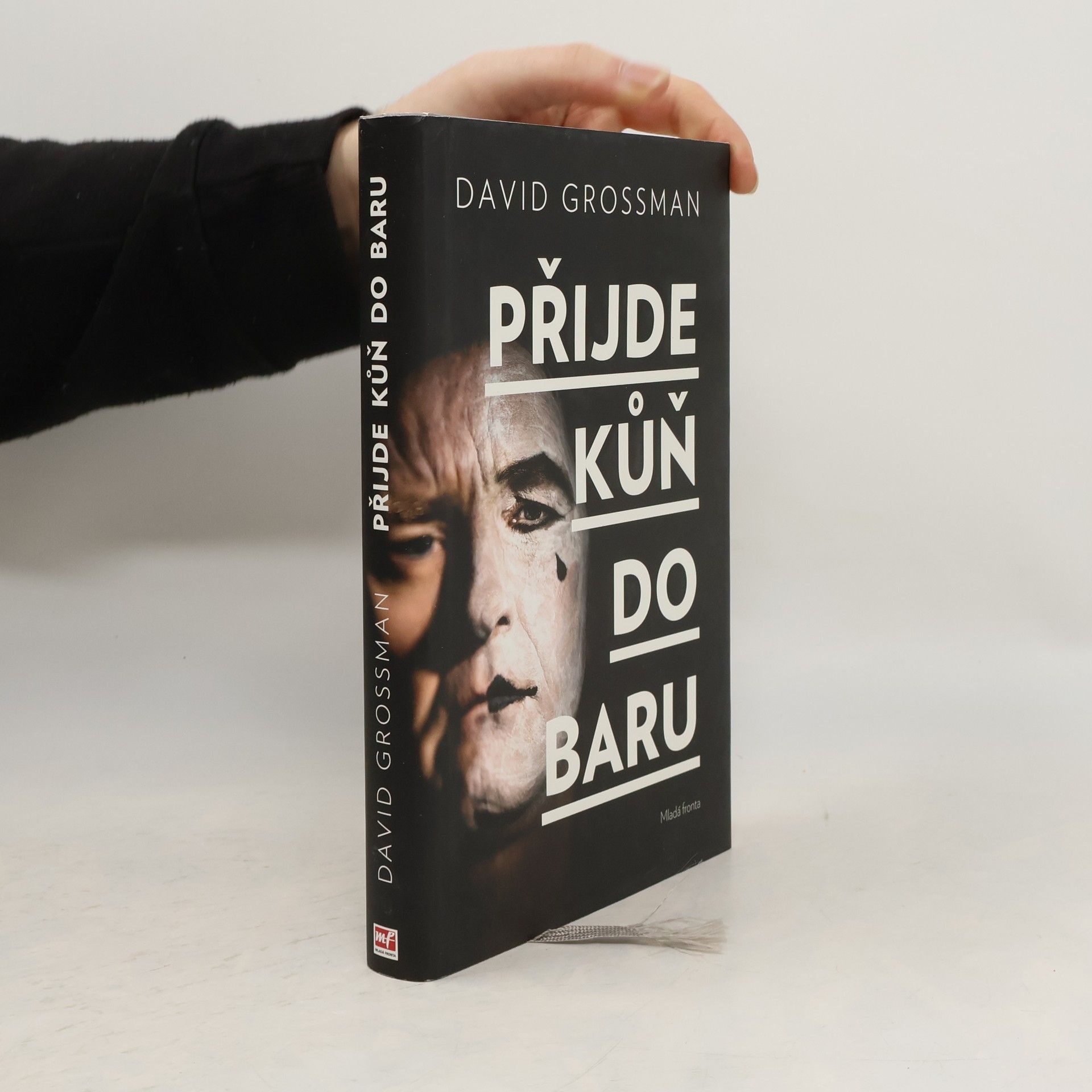 David Grossman Přijde kůň do baru