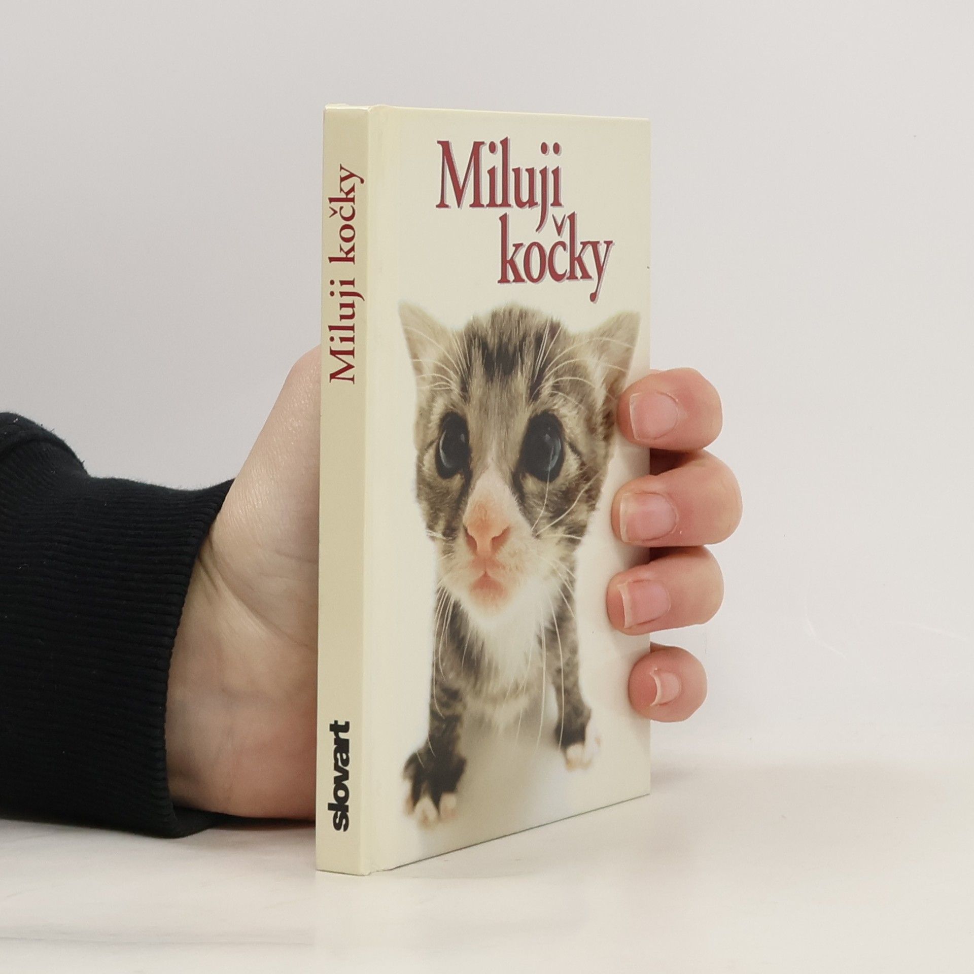 Yoneo Morita Miluji kočky