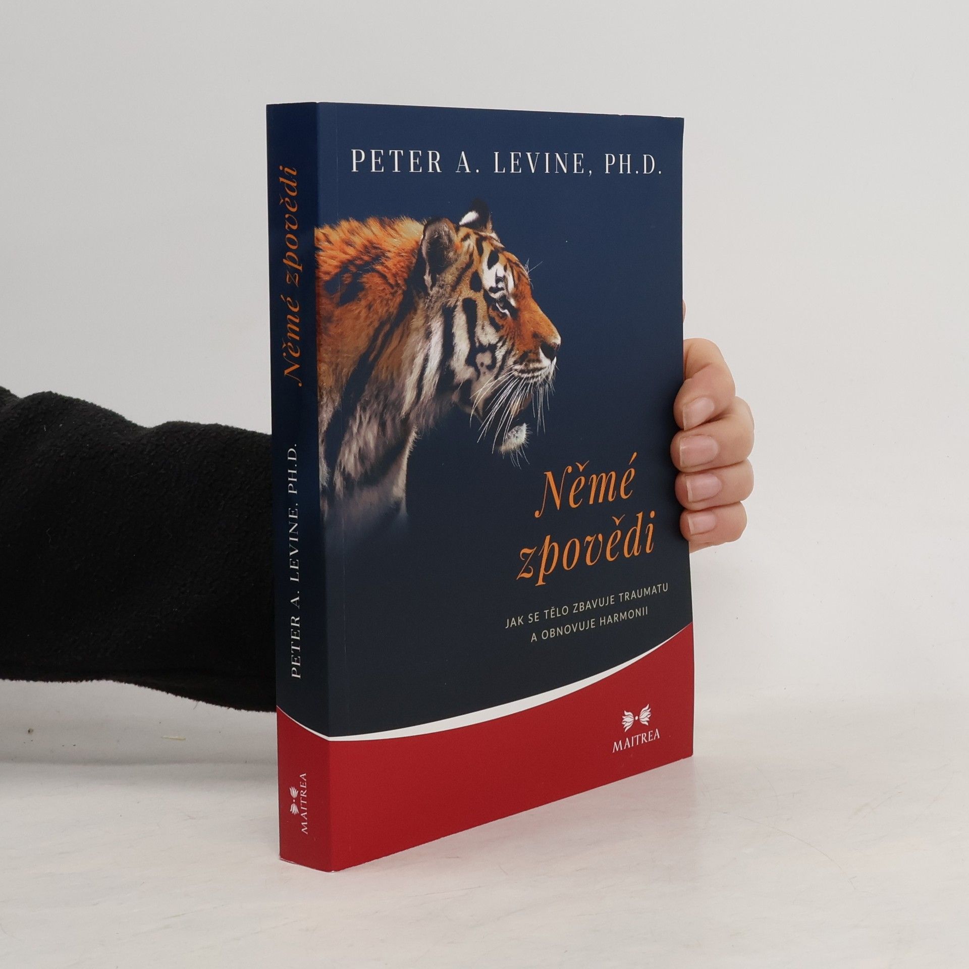 Němé zpovědi. Jak se tělo zbavuje traumatu a obnovuje harmonii