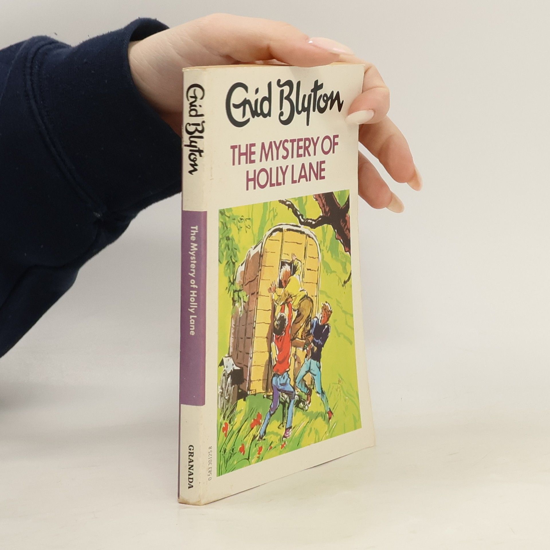 Enid Blyton The Mystery of Holly Lane