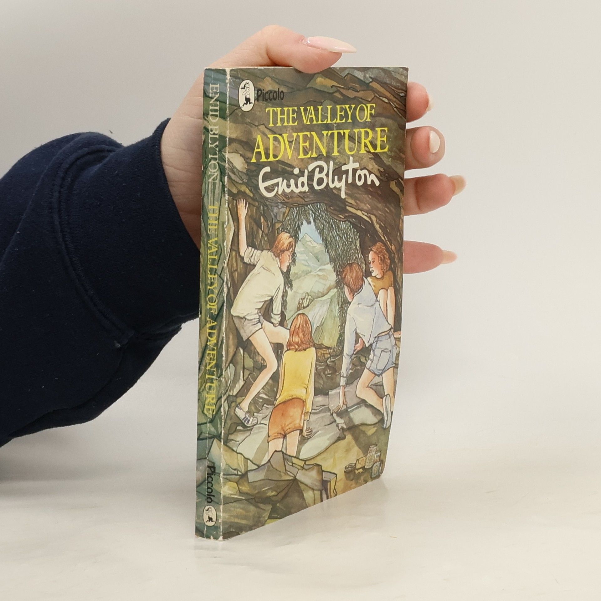 Enid Blyton The Valley of Adventure