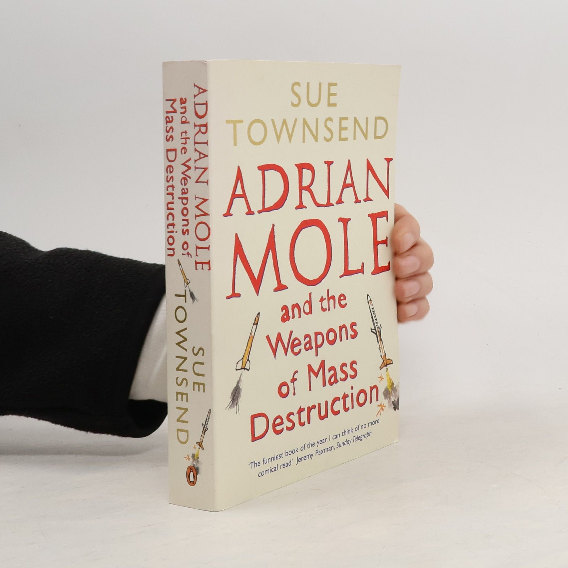 Sue Townsend Adrian Mole and the weapons of mass destruction