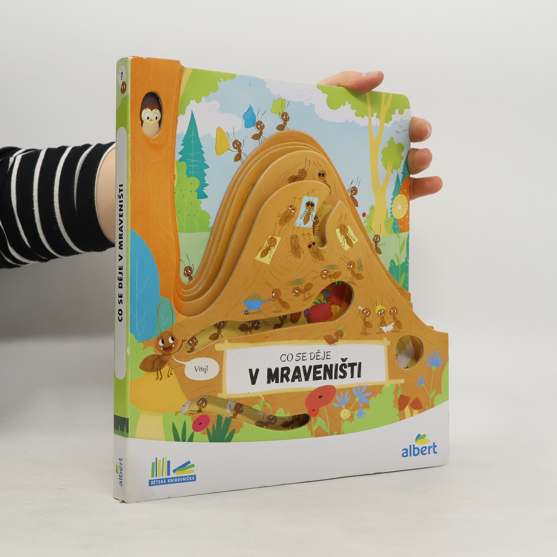 Kolektív autorov Co se děje v mraveništi