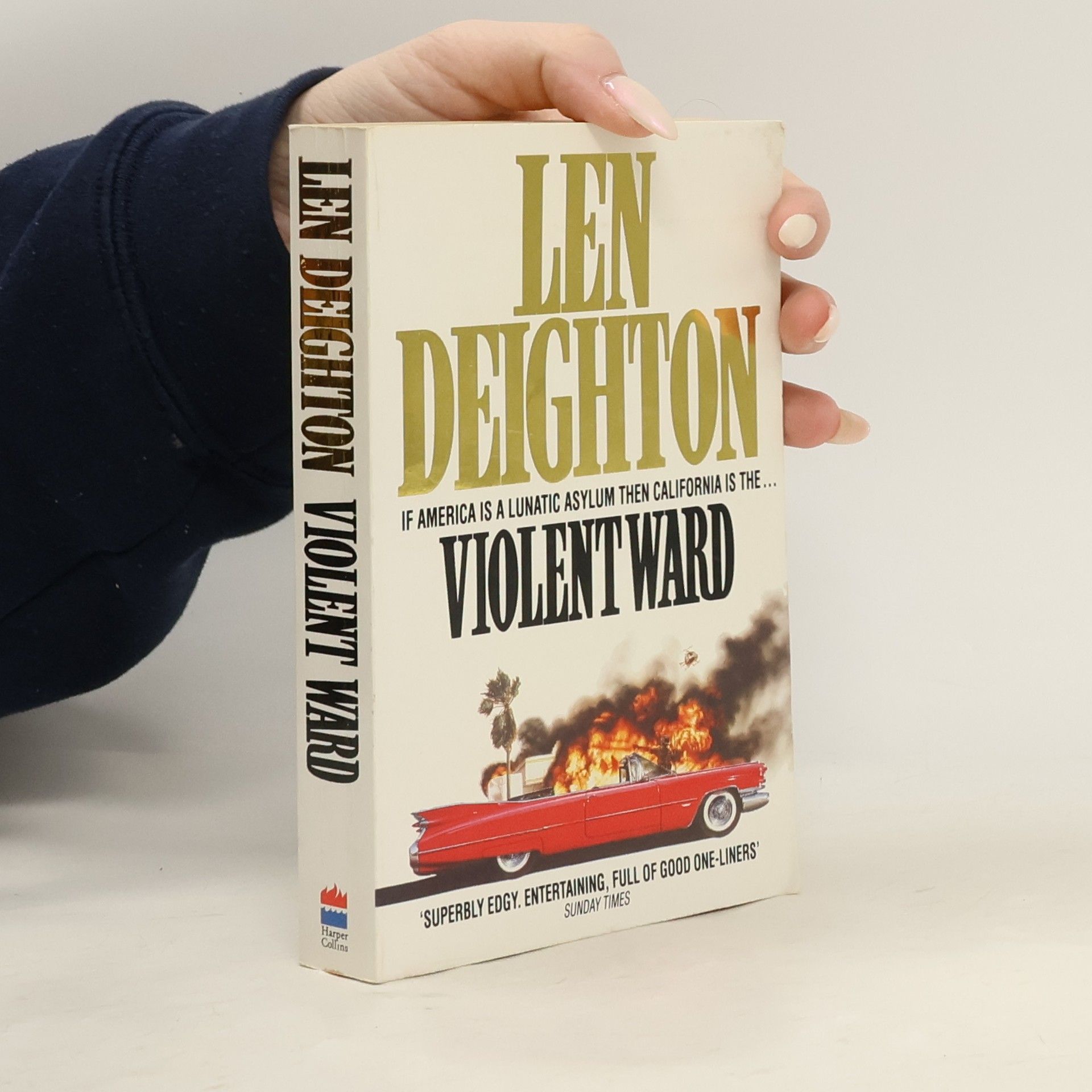 Len Deighton Violent Ward