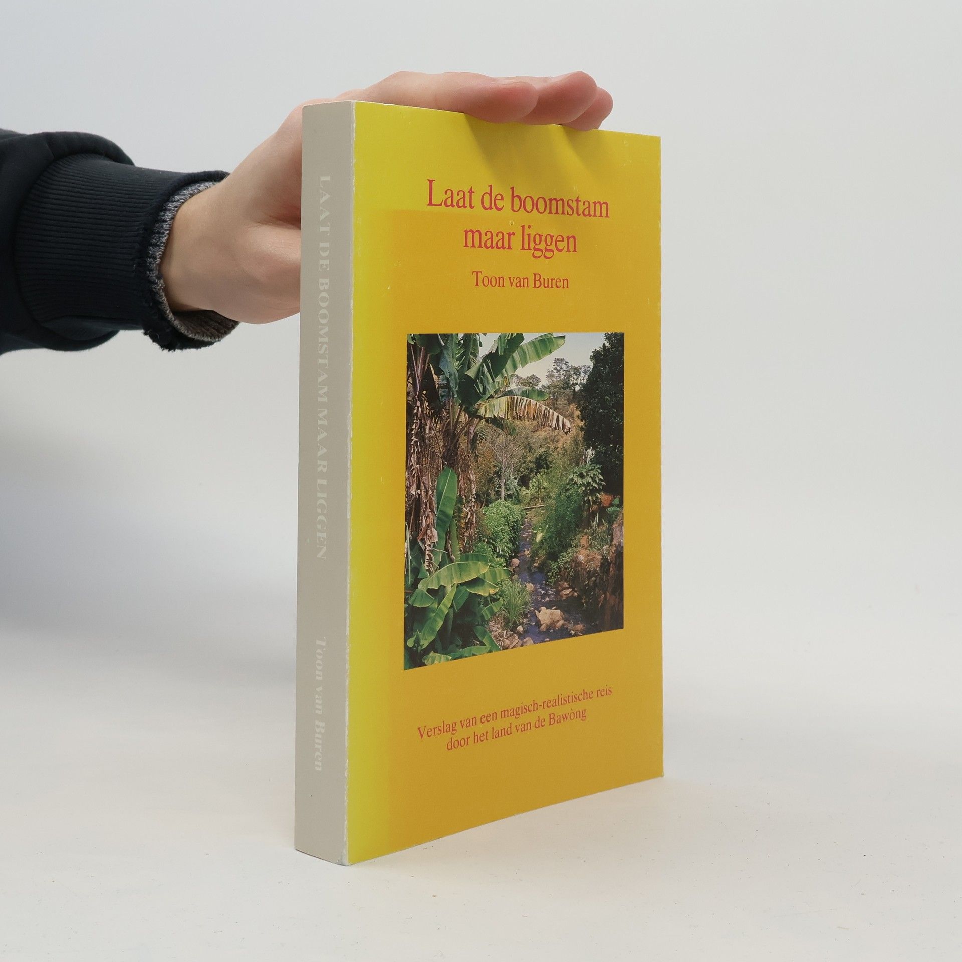 Toon van Buren Laat de boomstam maar liggen