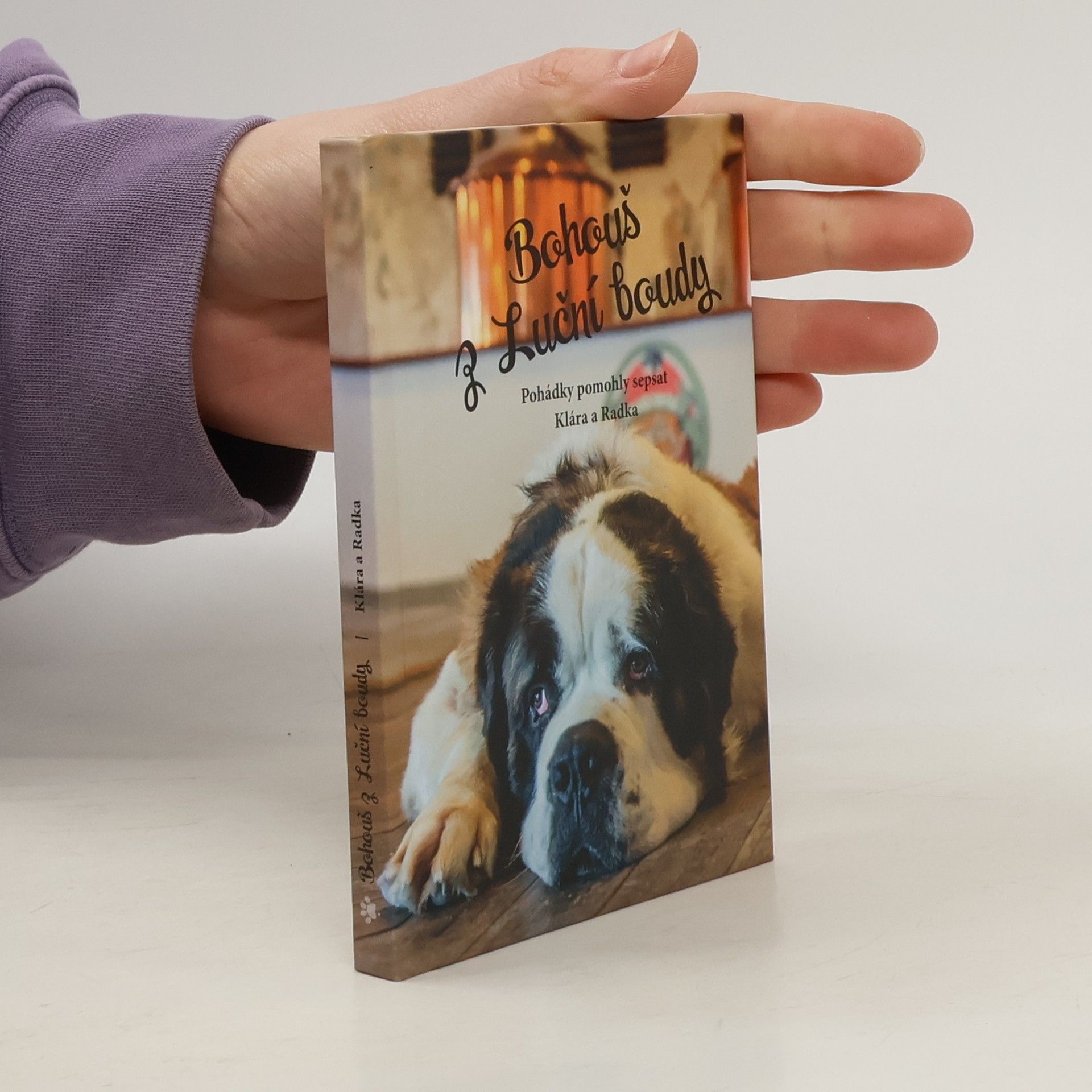 Bohouš z Luční boudy