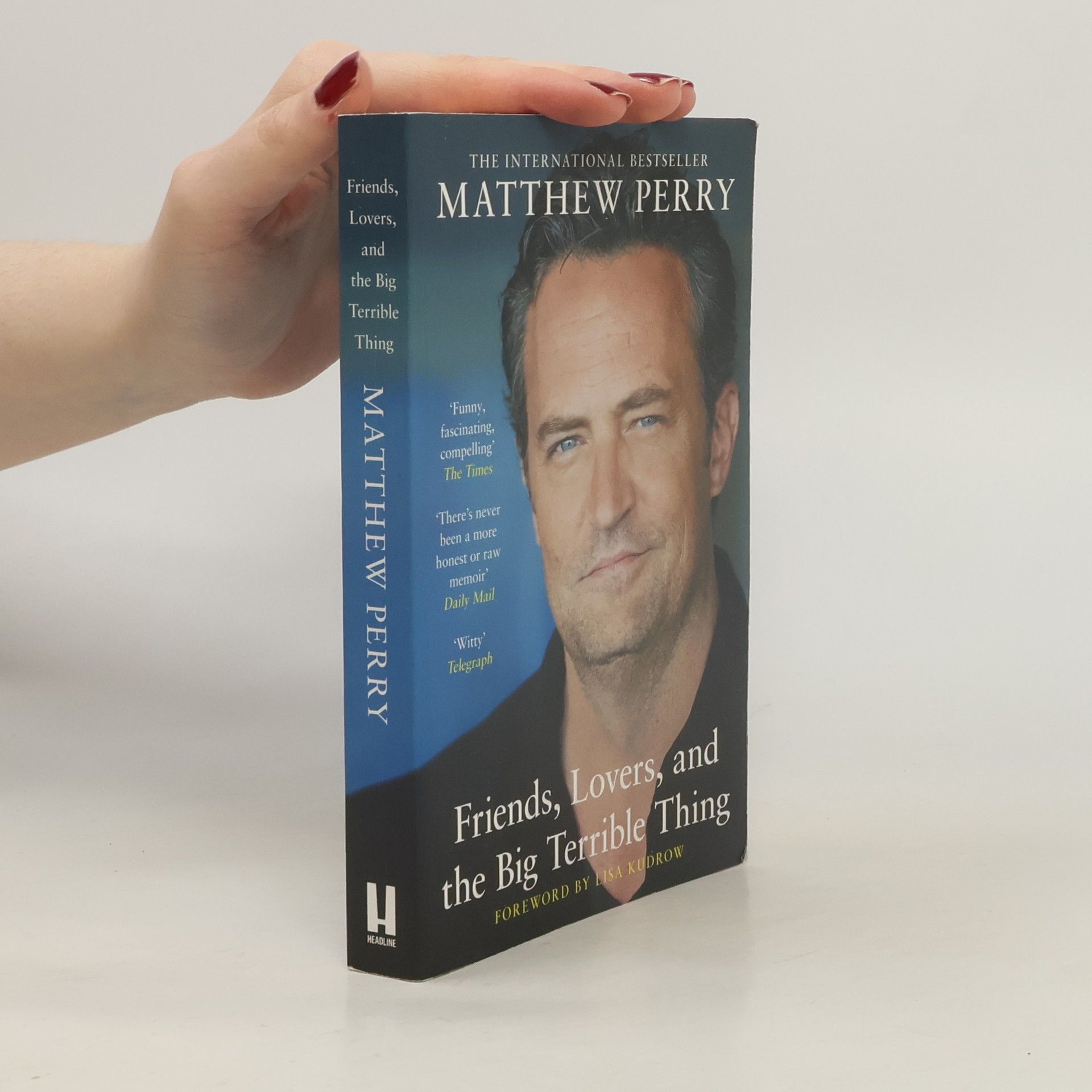 Matthew Perry Friends, Lovers and the Big Terrible Thing