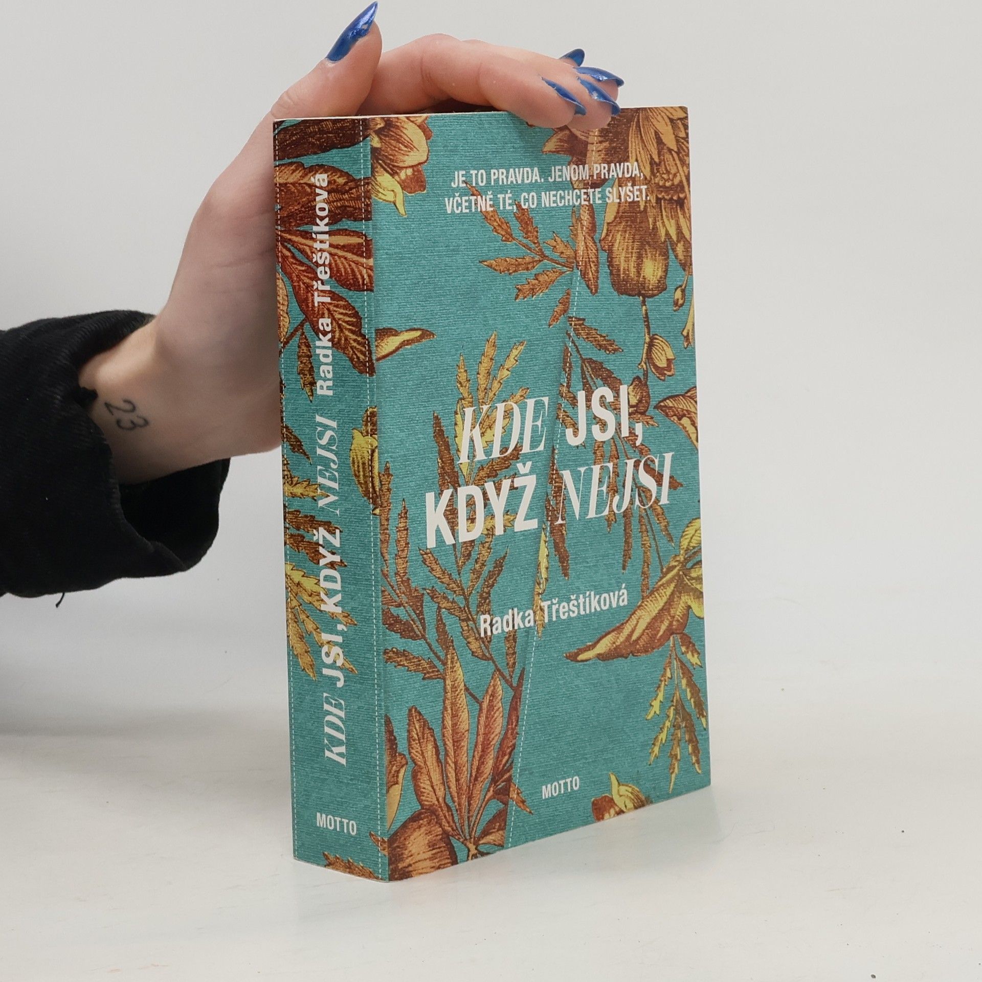 Radka Třeštíková Kde jsi, když nejsi