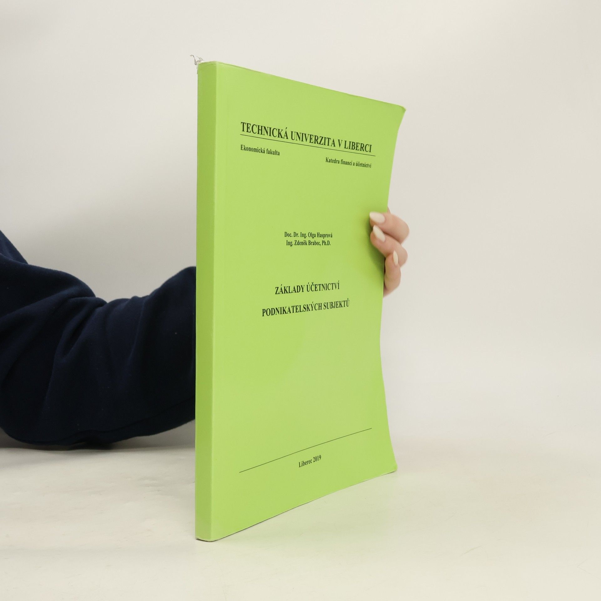 Základy účetnictví podnikatelských subjektů