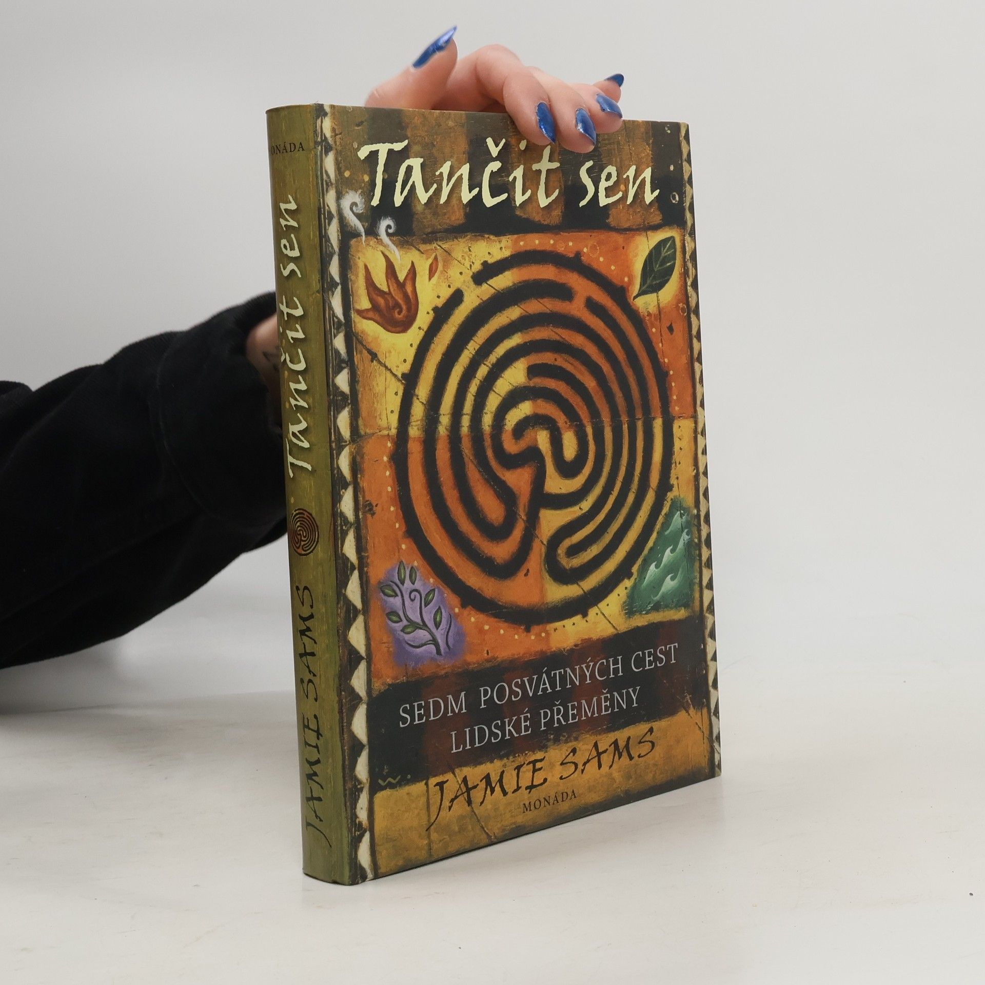 Jamie Sams Tančit sen