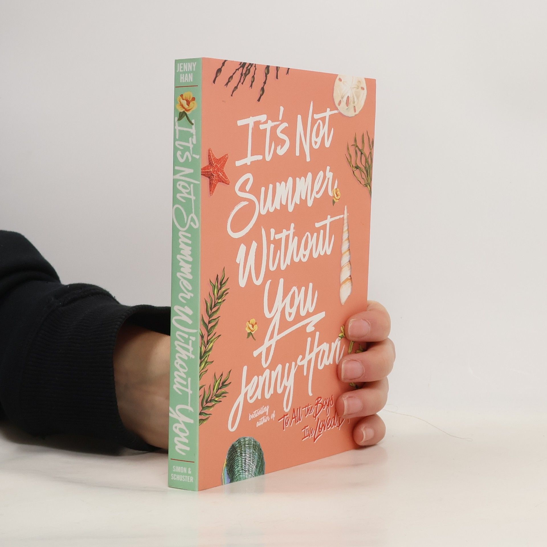 Jenny Han It's Not Summer Without You
