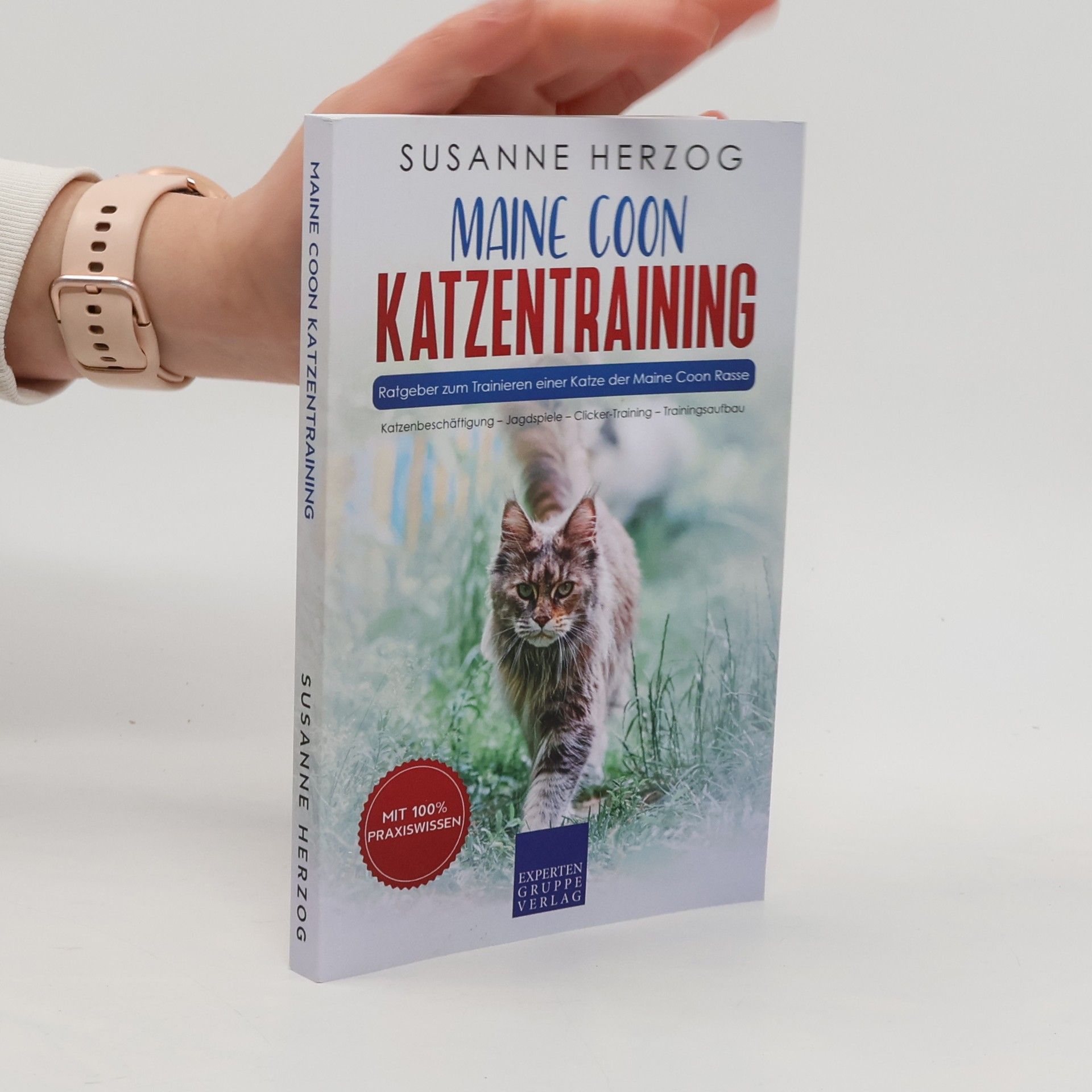 Maine Coon Katzentraining
