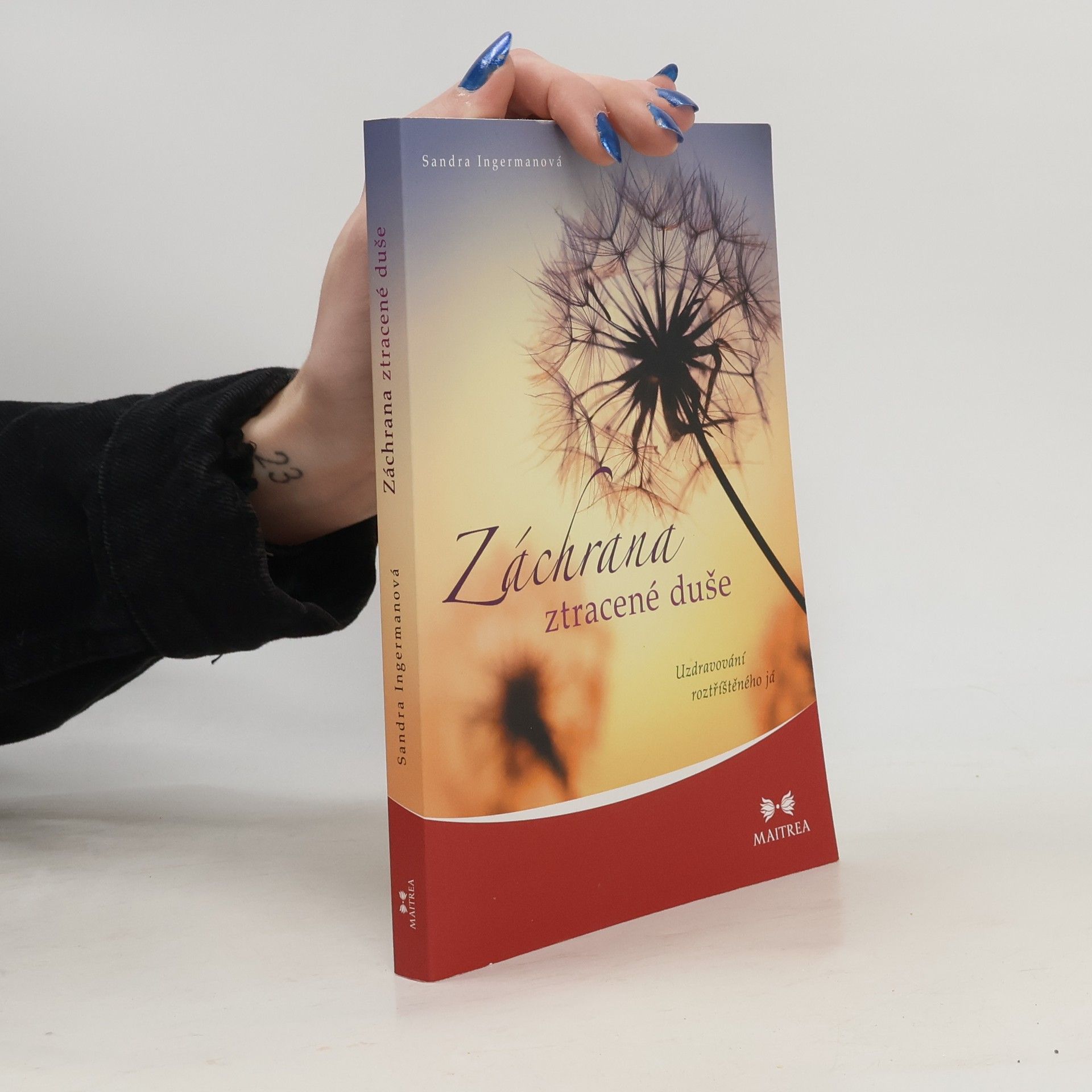 Sandra Ingerman Záchrana ztracené duše. Uzdravování roztříštěného já