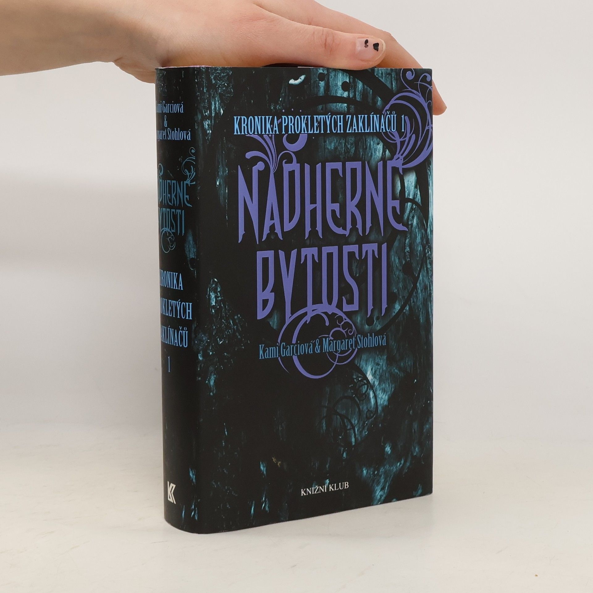 Kronika prokletých zaklínačů 1. Nádherné bytosti