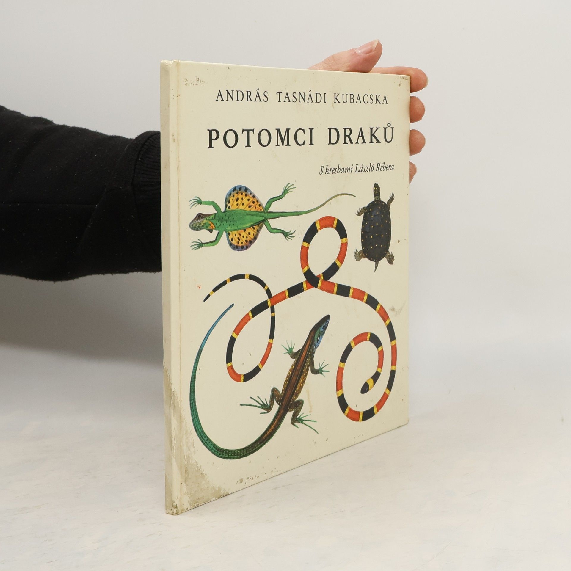 András Tasnádi Kubacska Potomci draků