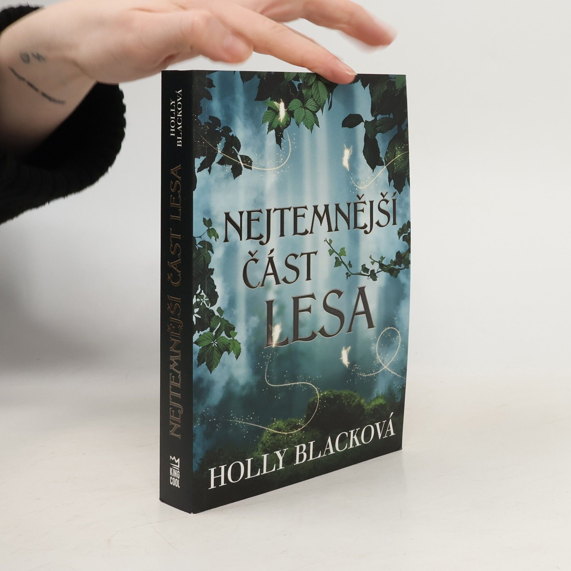 Holly Black Nejtemnější část lesa