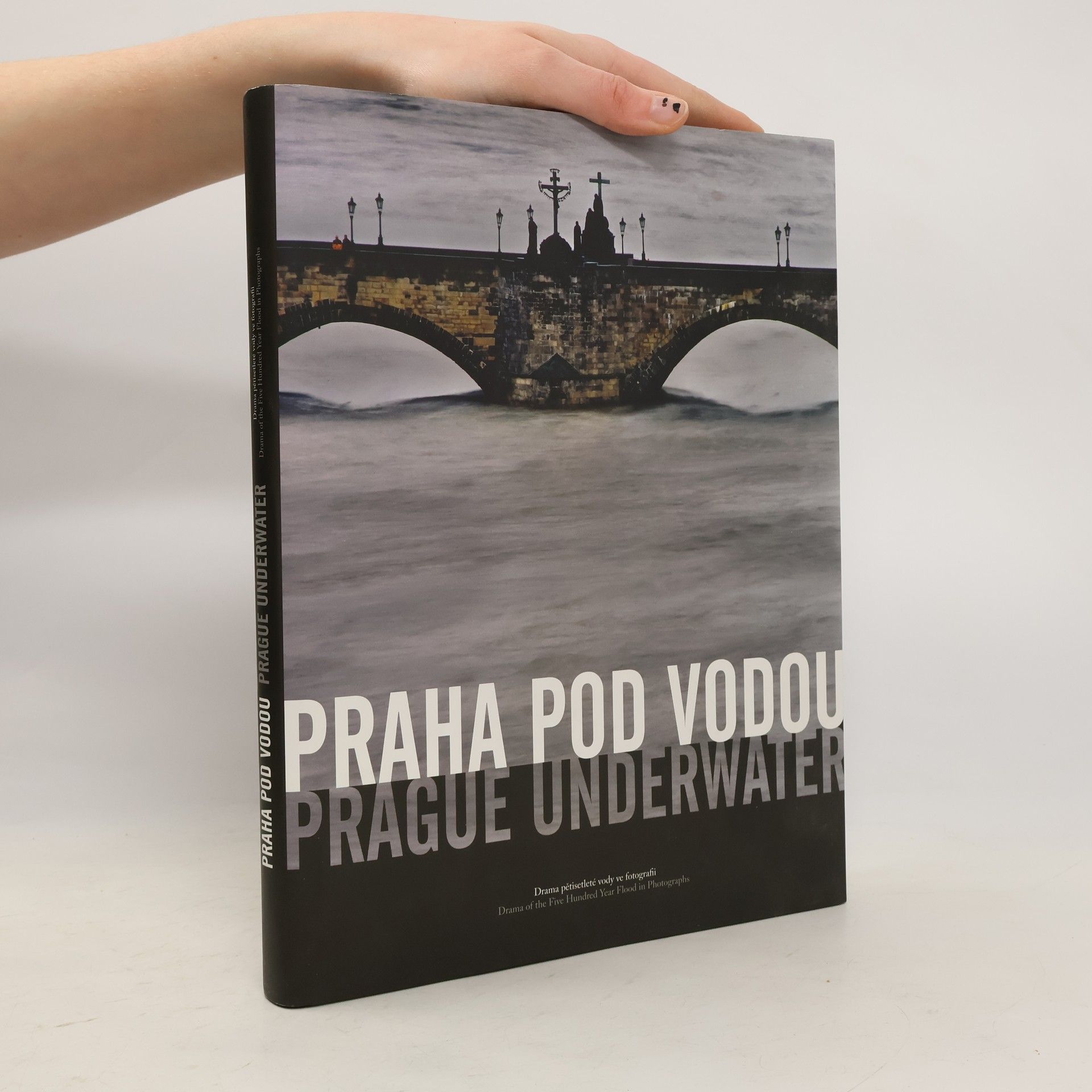 Daniela Mrázková Praha pod vodou: Drama pětisetleté vody ve fotografii = Prague underwater: Drama of the five hundred year flood in photographs
