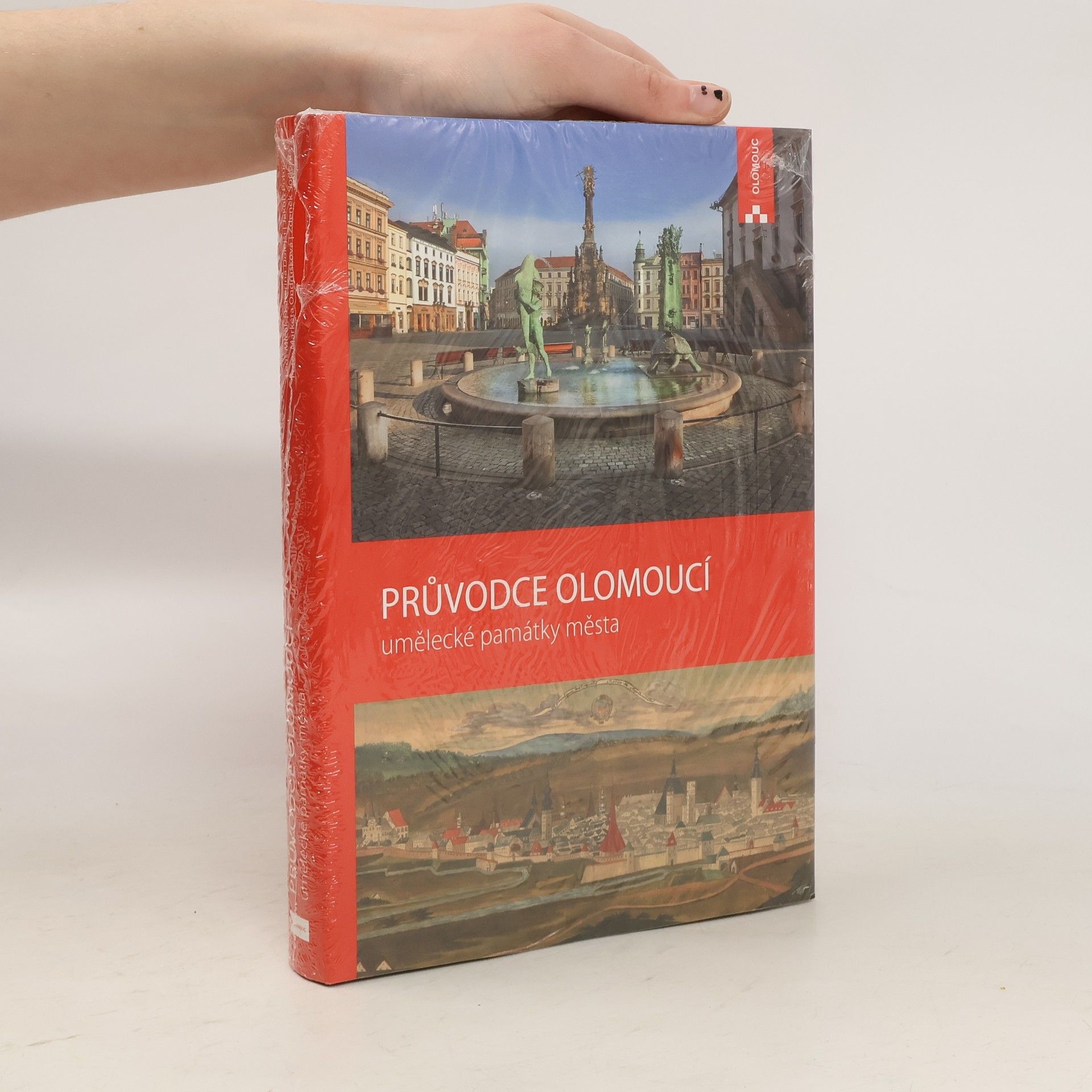 Leoš Mlčák Průvodce Olomoucí. Umělecké památky města