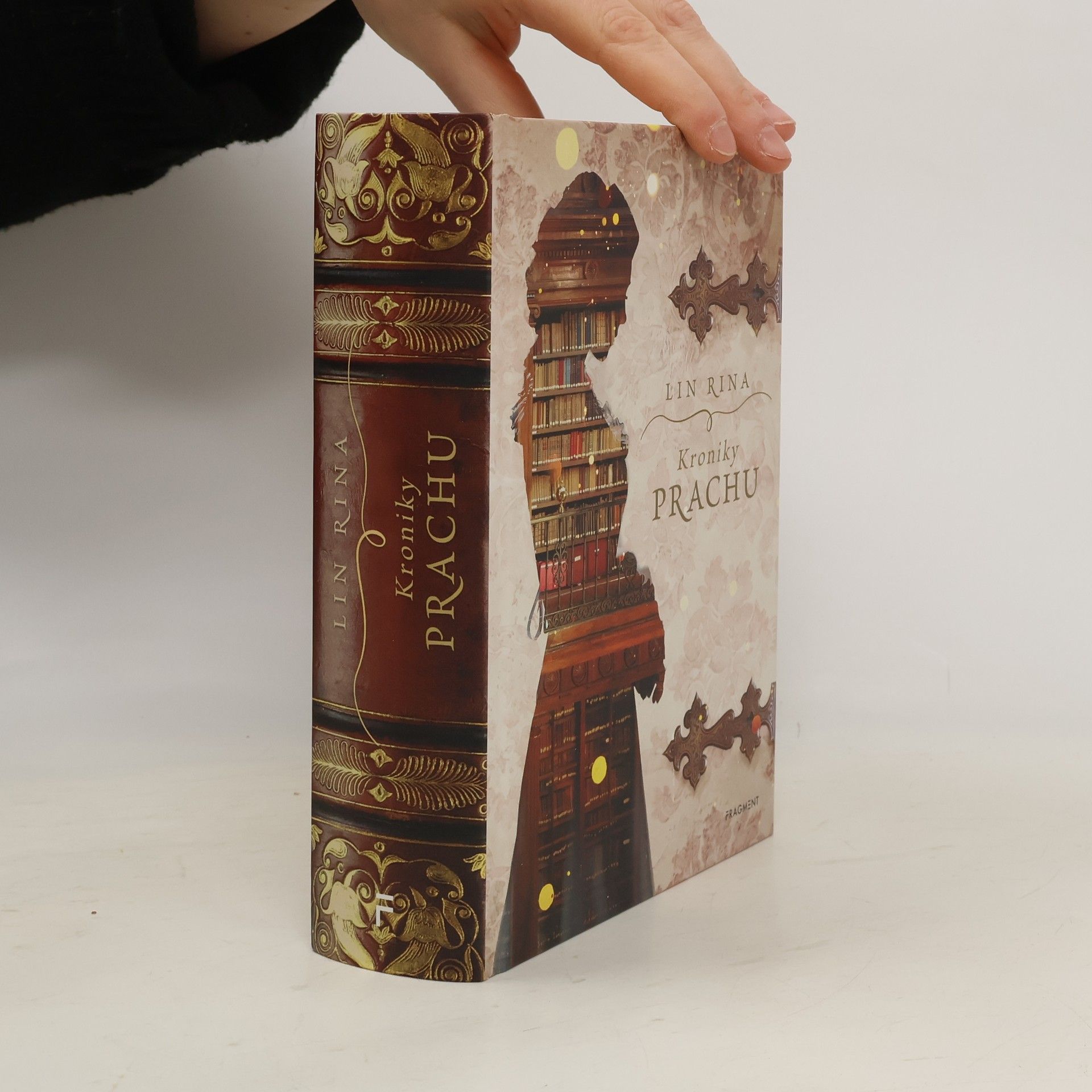 Lin Rina Kroniky prachu