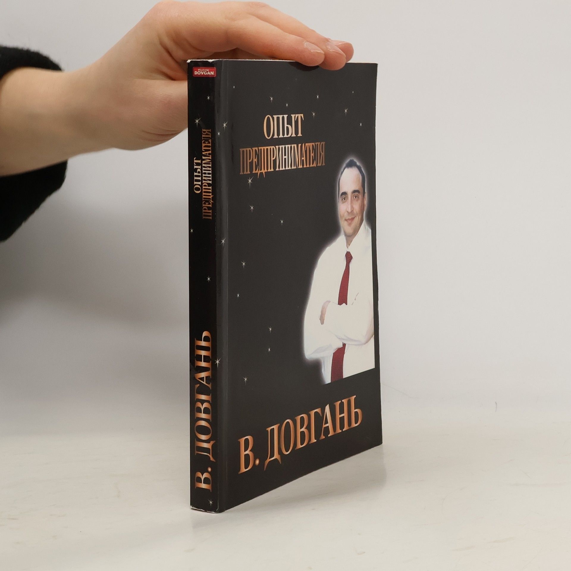Владимир Довгань Опыт предпринимателя