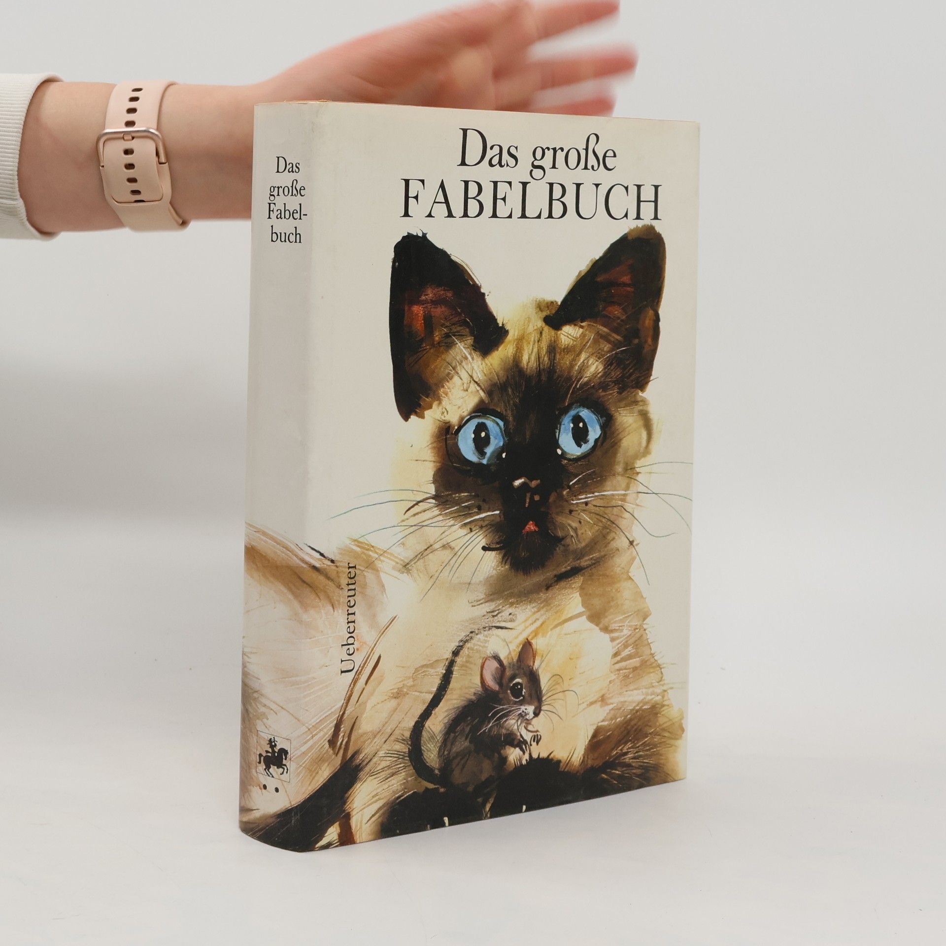 Collectif d'auteurs Das große Fabelbuch