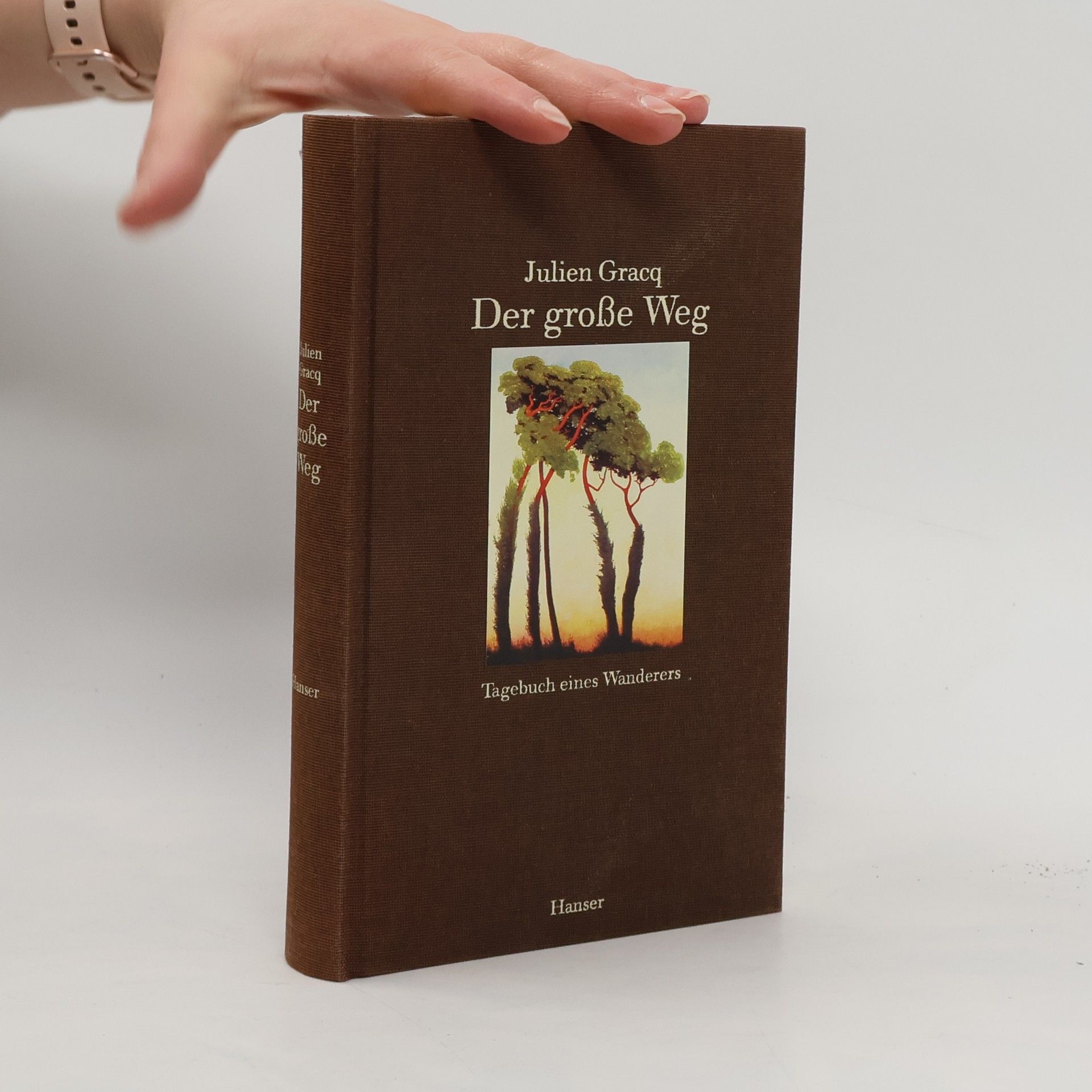 Julien Gracq Der große Weg. Tagebuch eines Wanderers