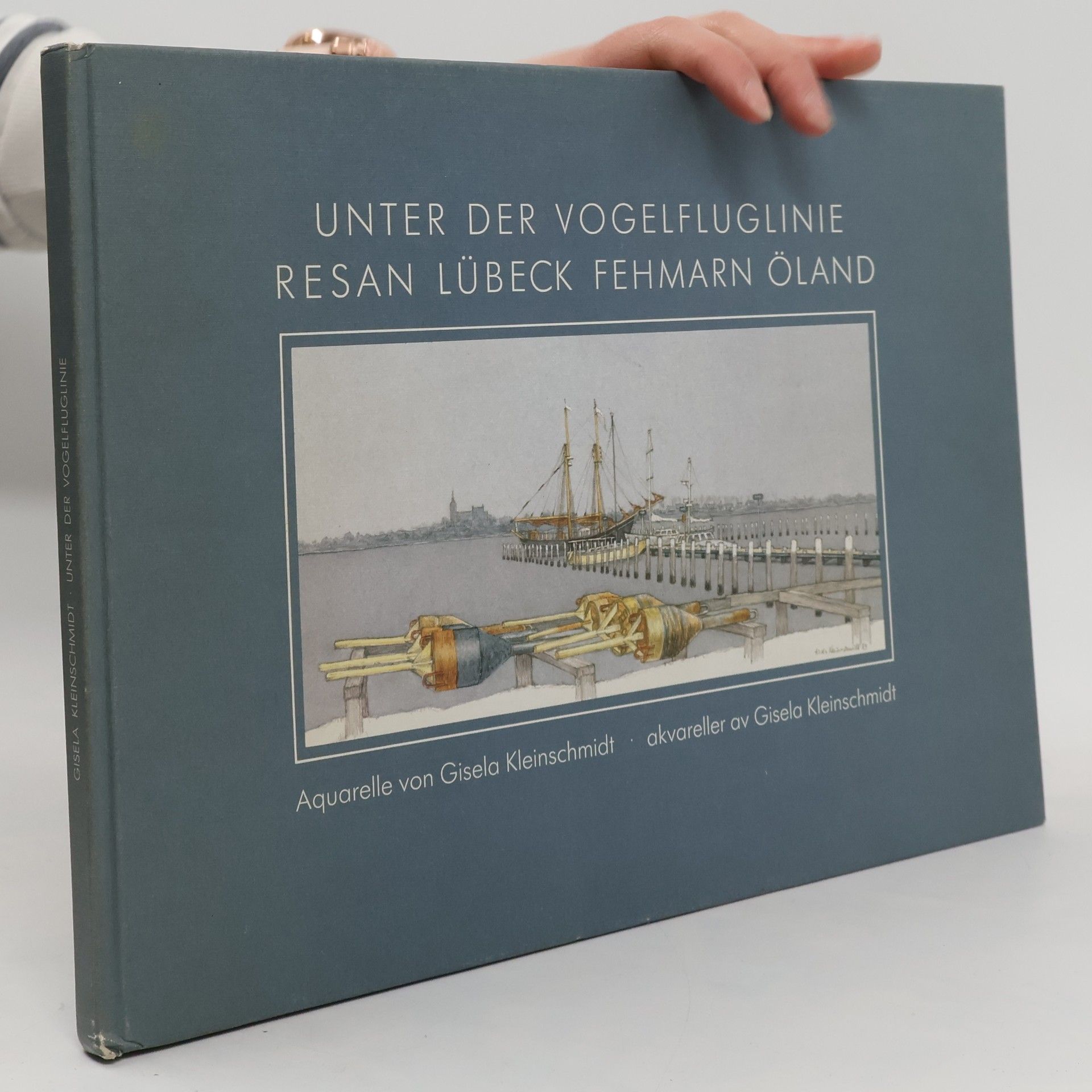 Gisela Kleinschmidt Unter der Vogelfluglinie