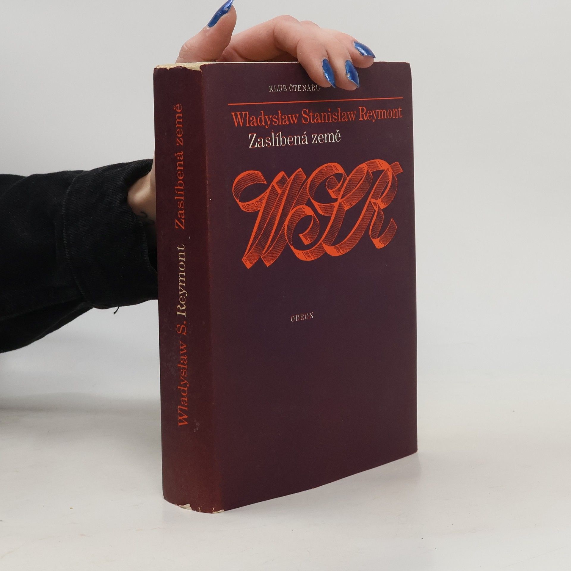 Władysław Reymont Zaslíbená země