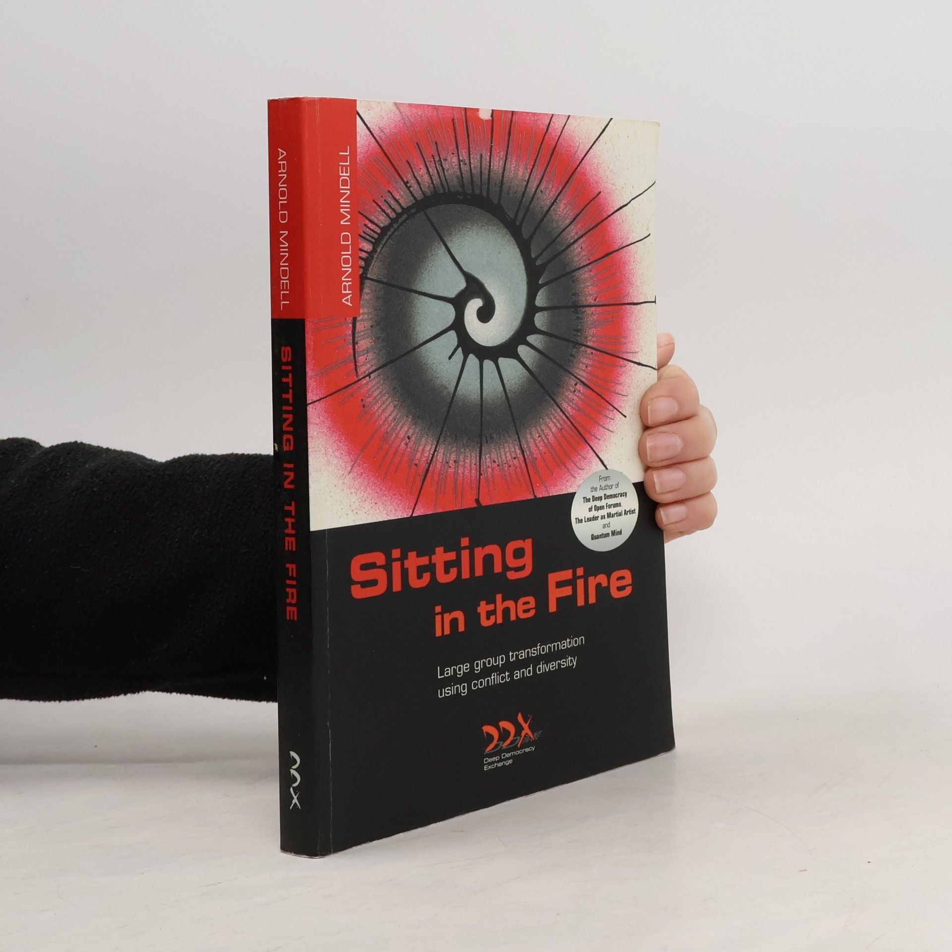 Arnold Mindell Sitting in the Fire