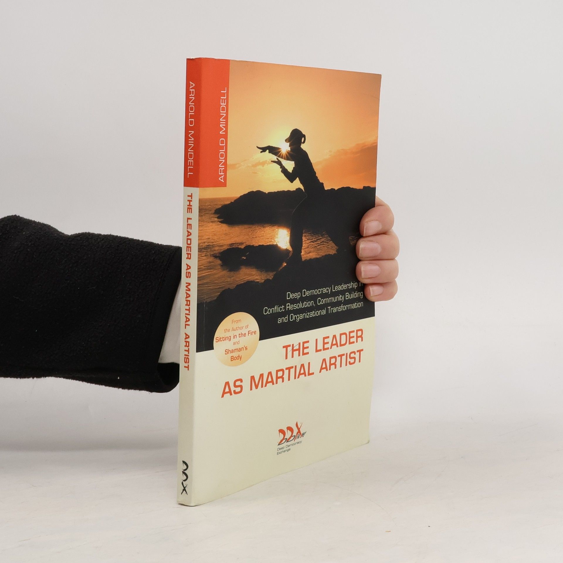 Arnold Mindell The Leader as Martial Artist