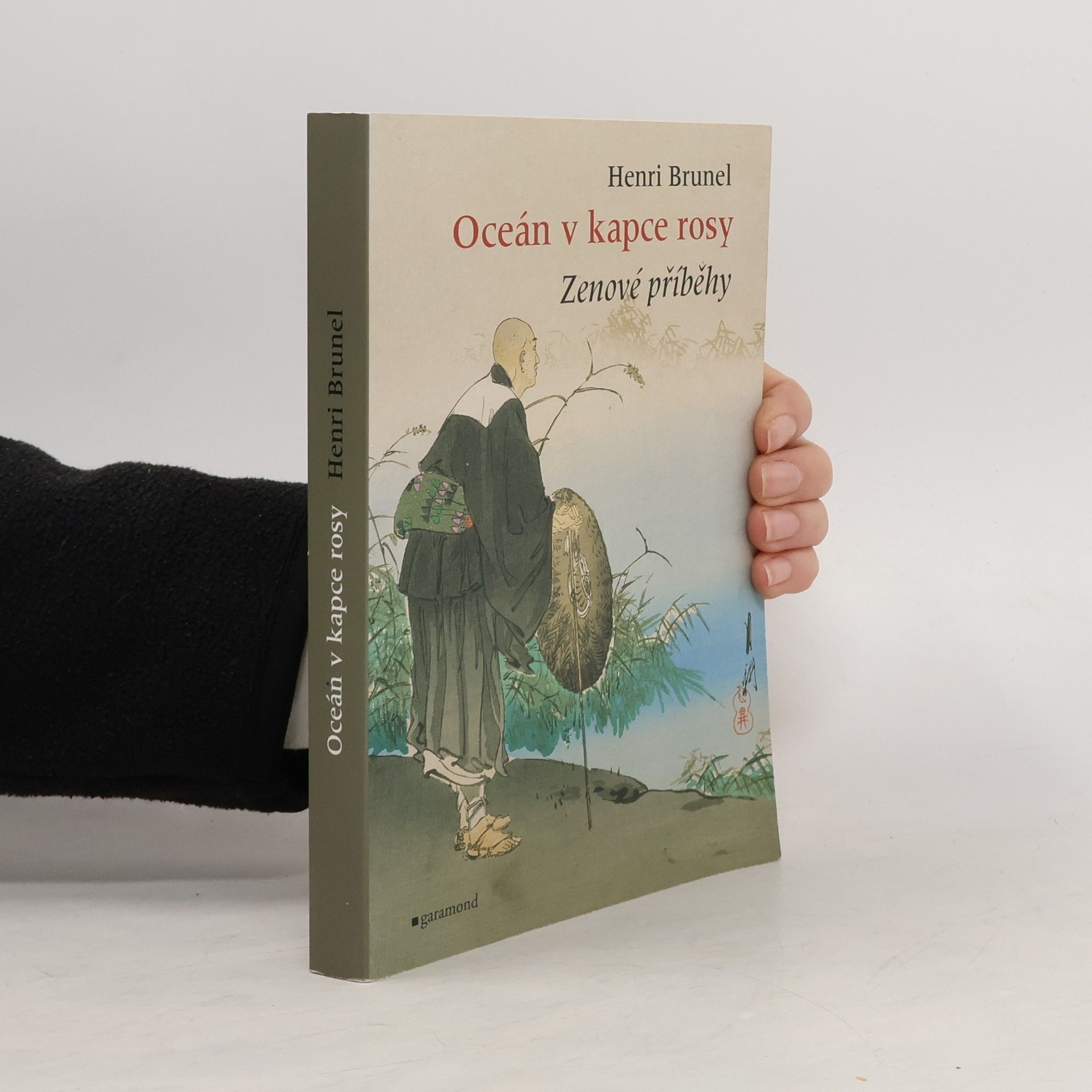 Henri Brunel Oceán v kapce rosy