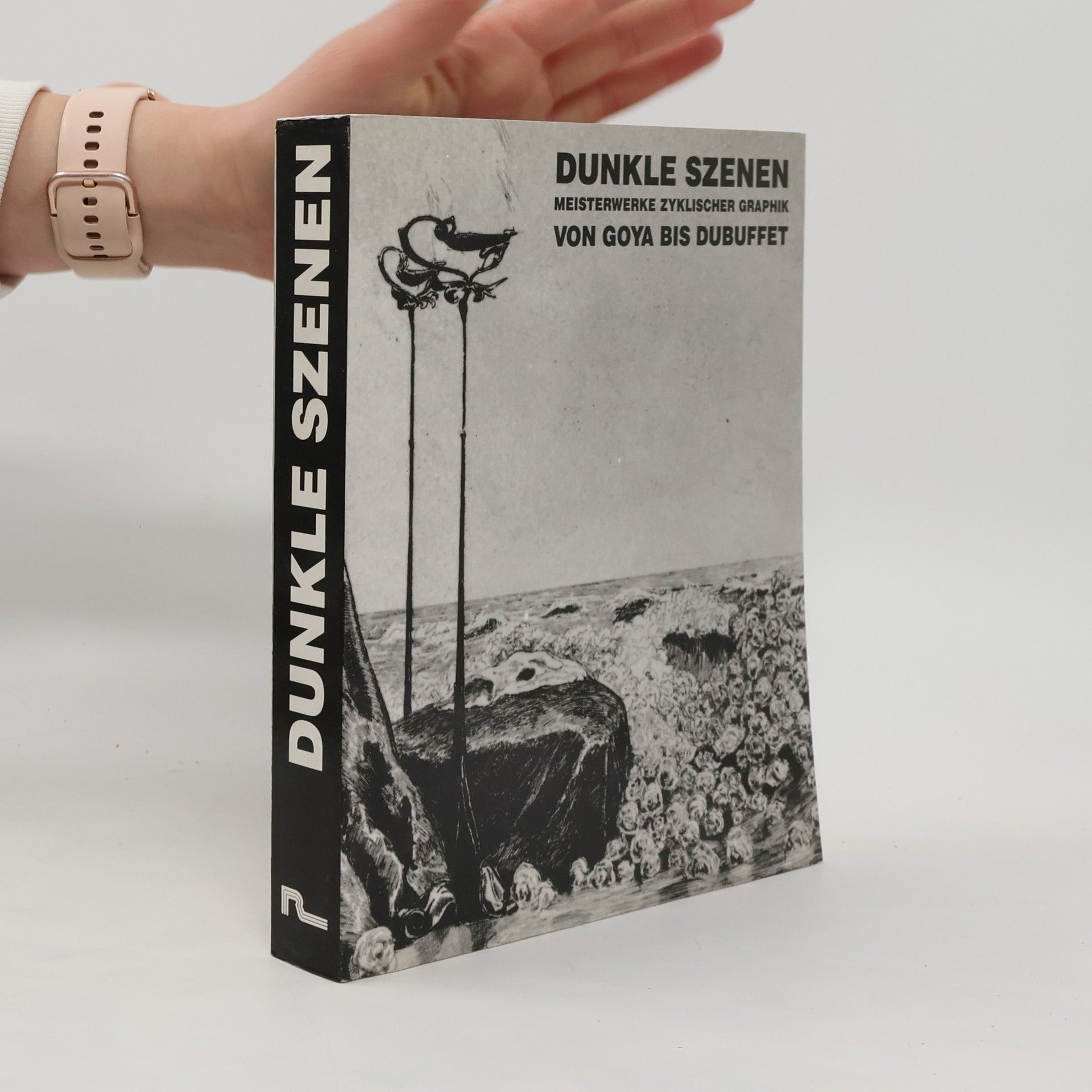 Autorenkollektiv Dunkle Szenen. Meisterwerke zyklischer Graphik von Goya bis Dubuffet