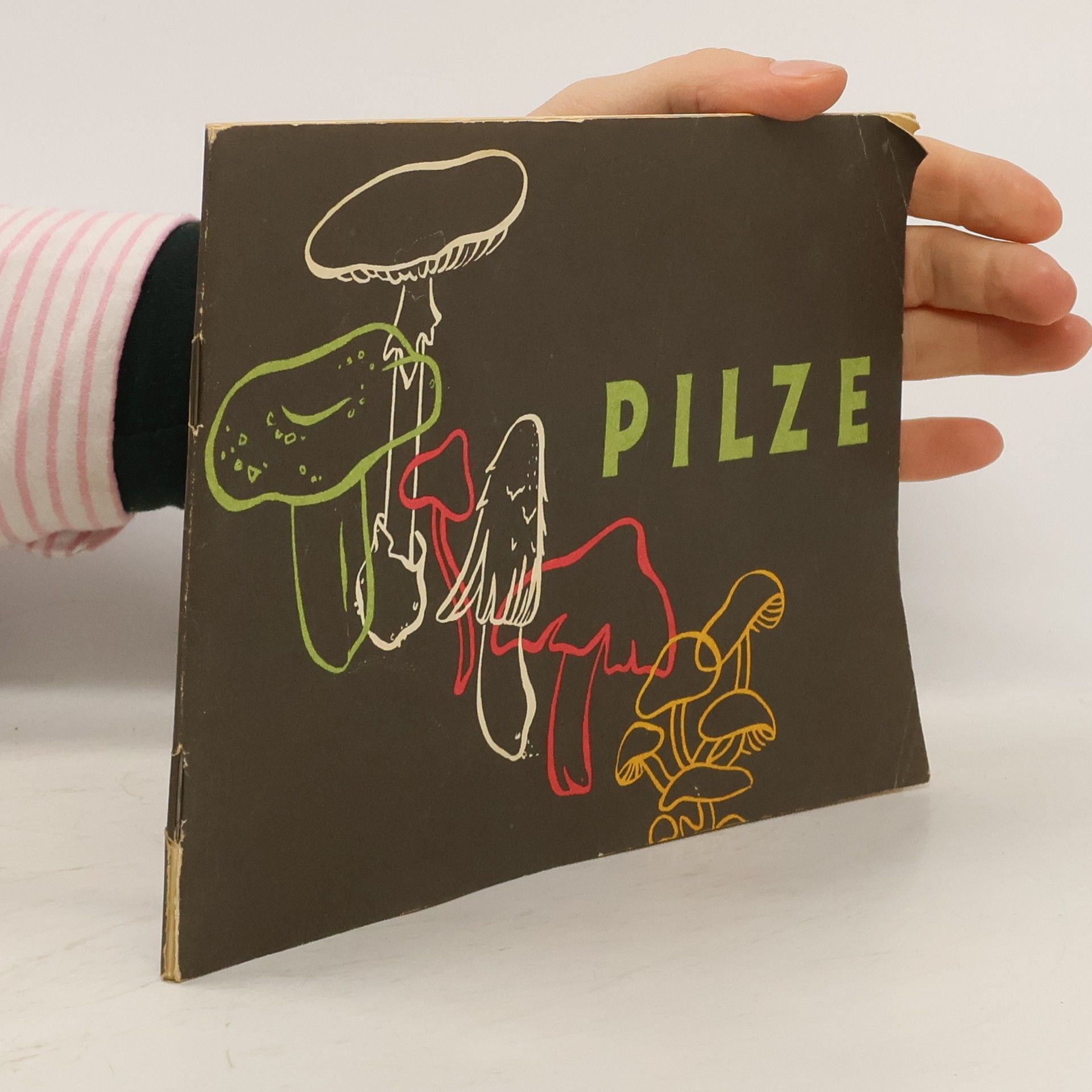 Autorenkollektiv Pilze