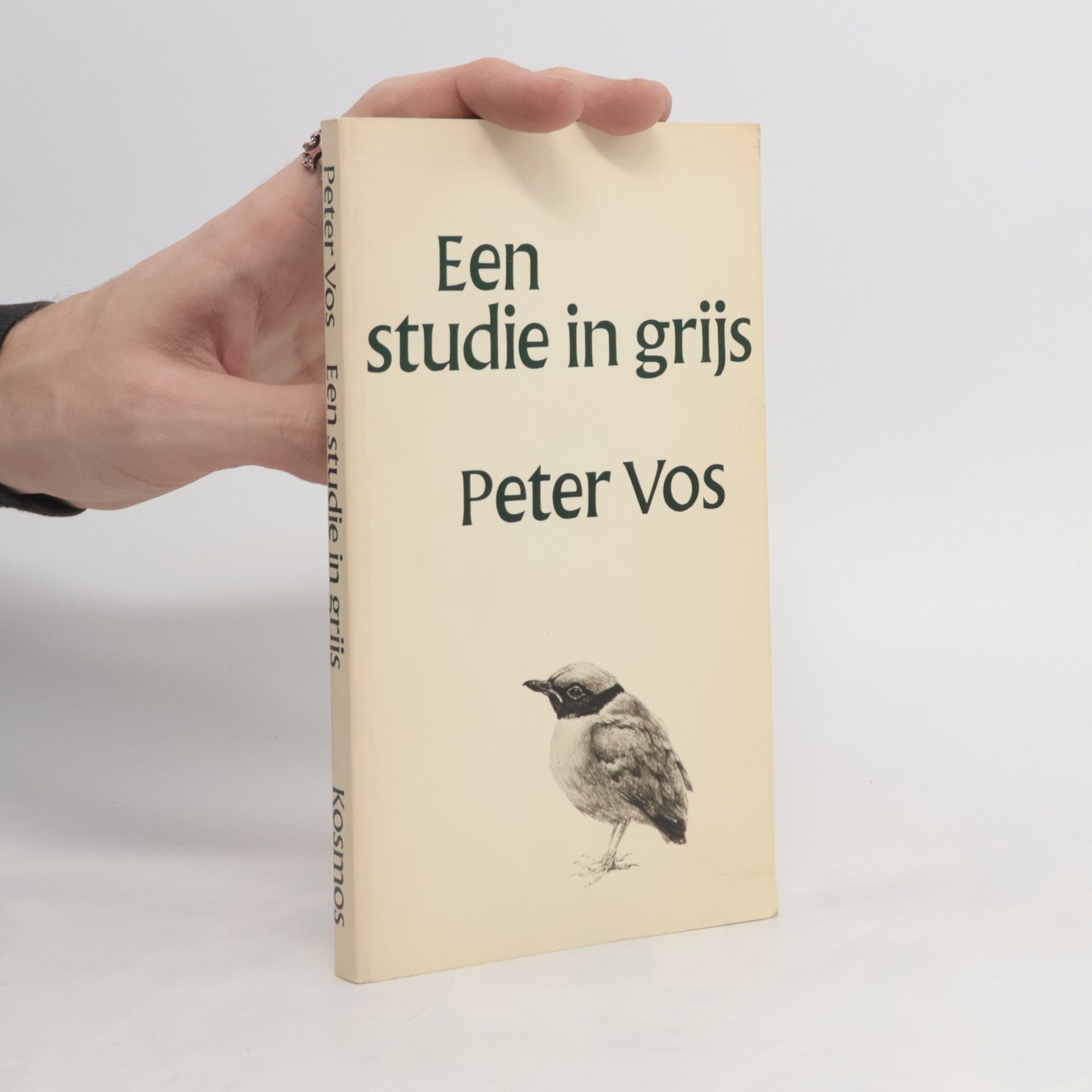 Petrus Antonius Carolus Augustinus Vos Een studie in grijs