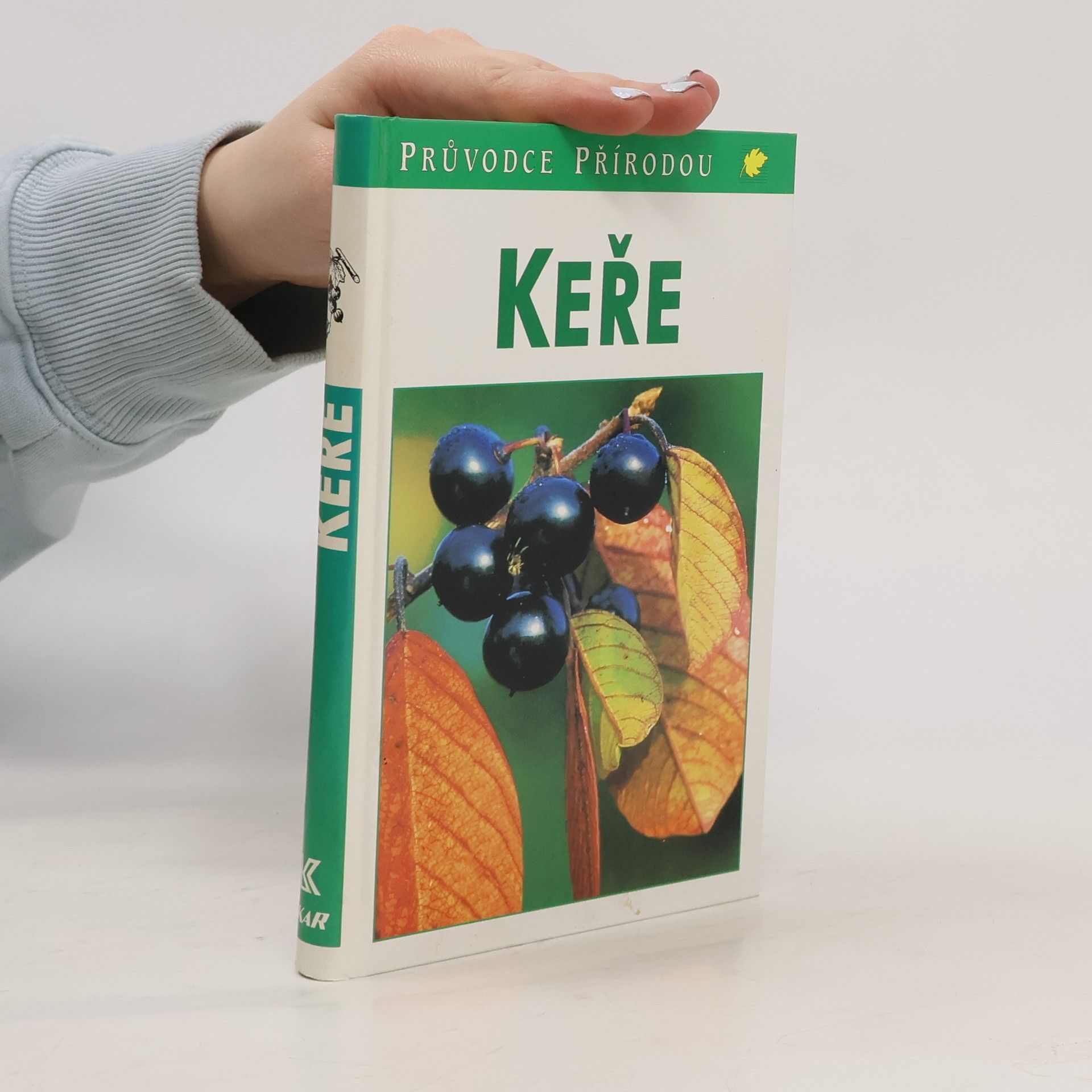 Markus Bolliger Keře