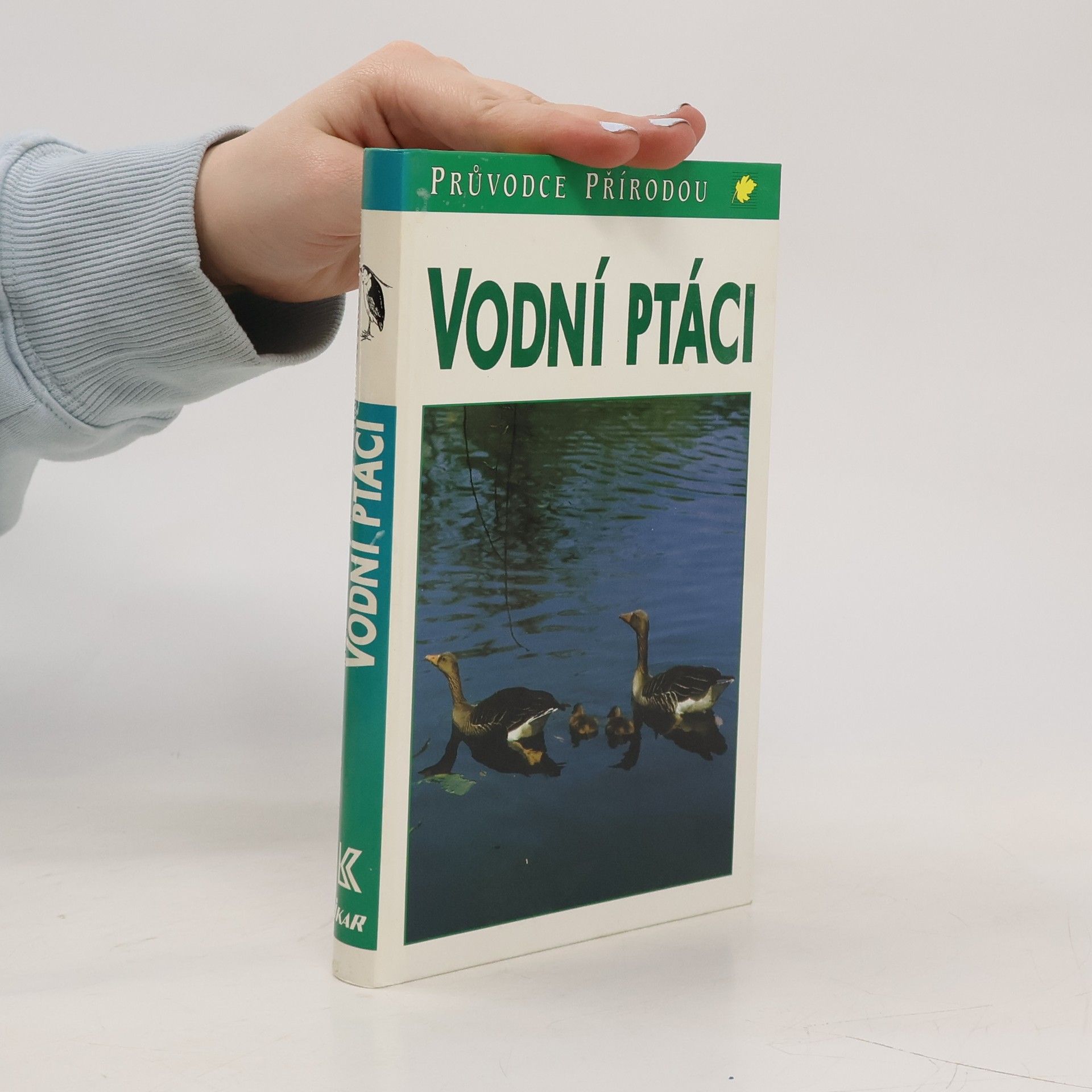 Sauer Frieder Vodní ptáci