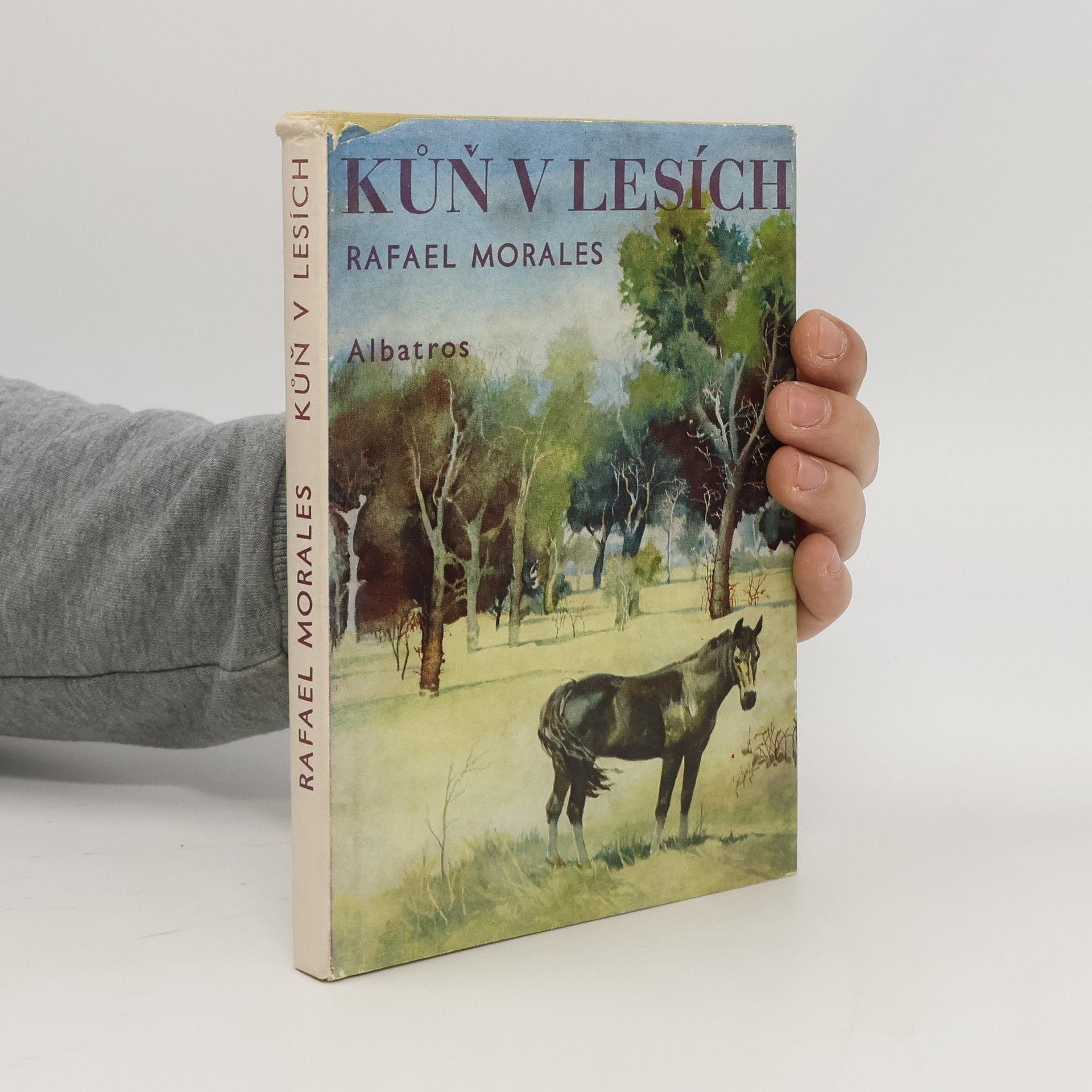 Rafael Morales Kůň v lesích