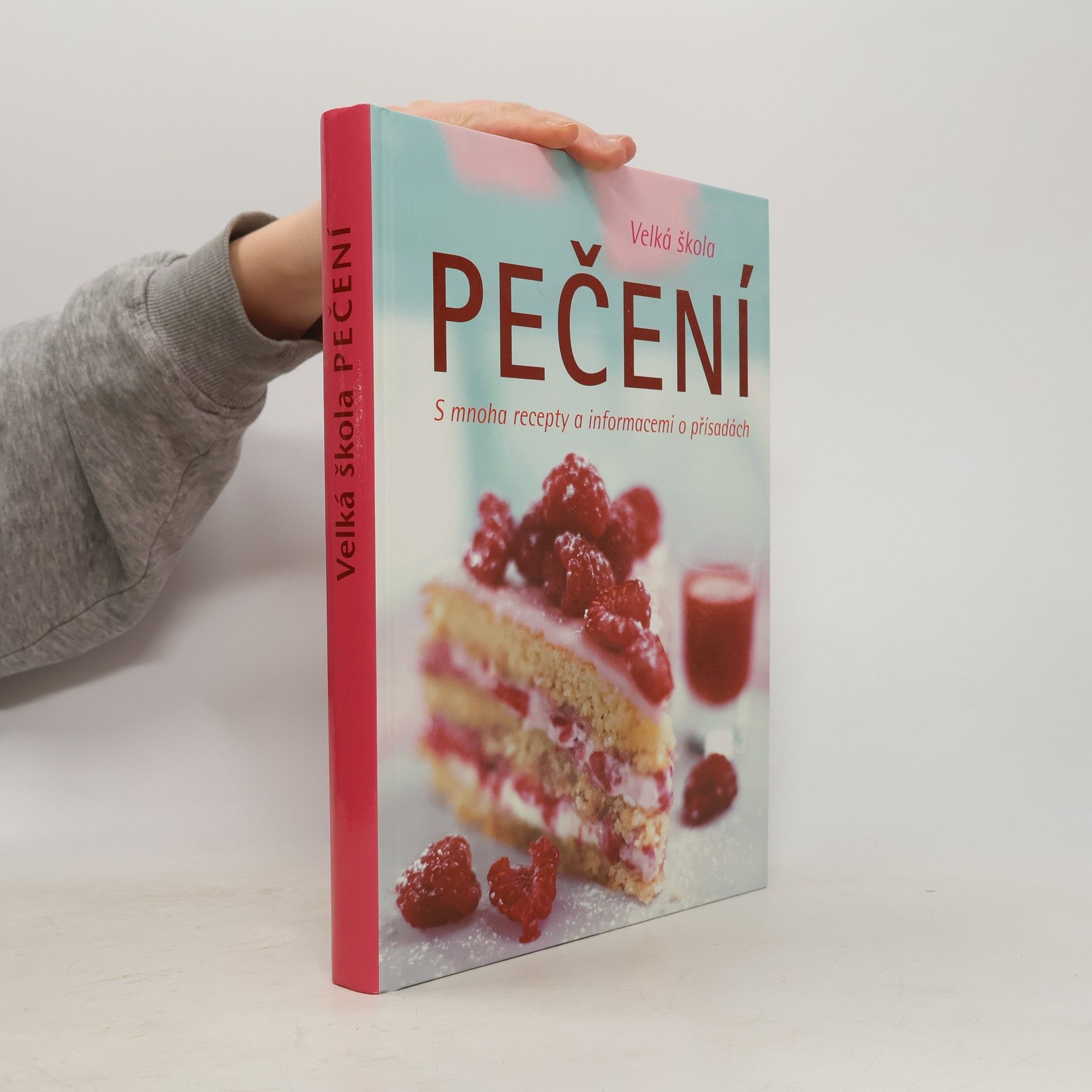 Autorenkollektiv Velká škola pečení. S mnoha recepty a informacemi o přísadách