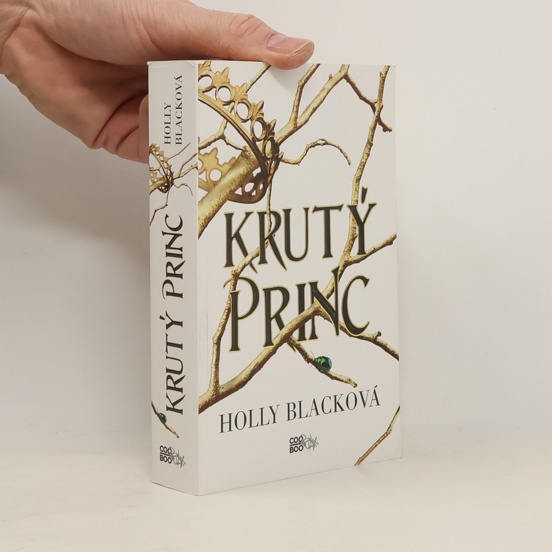 Holly Black Krutý princ