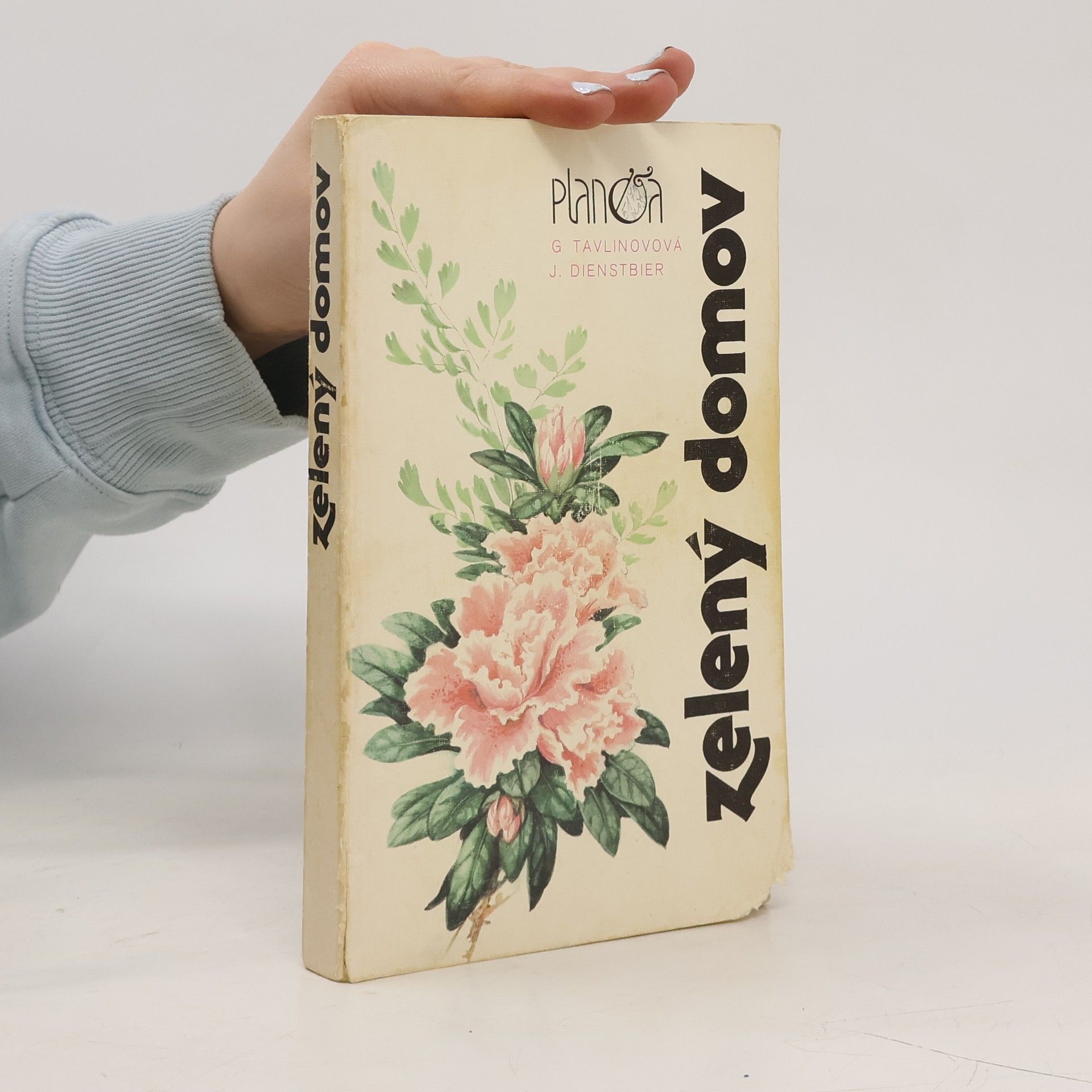 Galina Konstantinovna Tavlinova Zelený domov