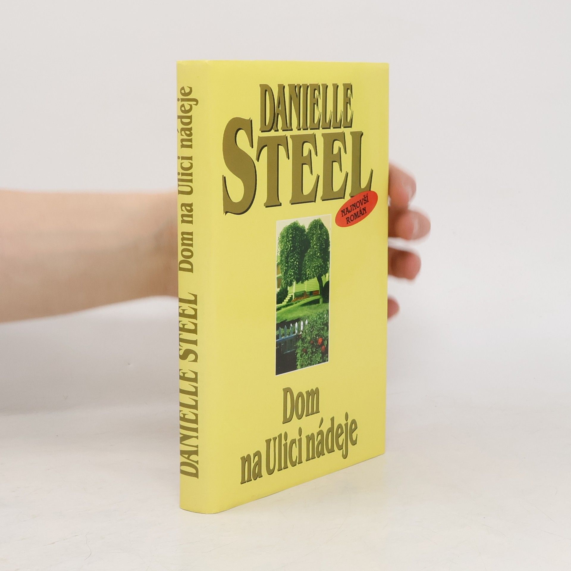 Danielle Steel Dom na Ulici nádeje