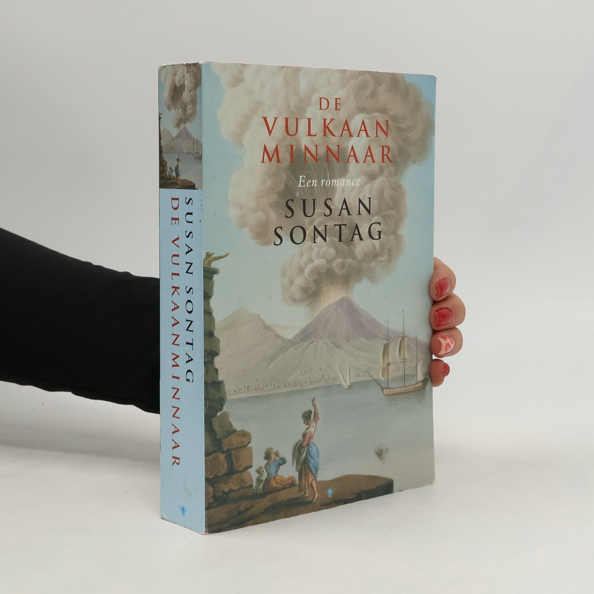 Heleen ten Holt De vulkaanminnaar