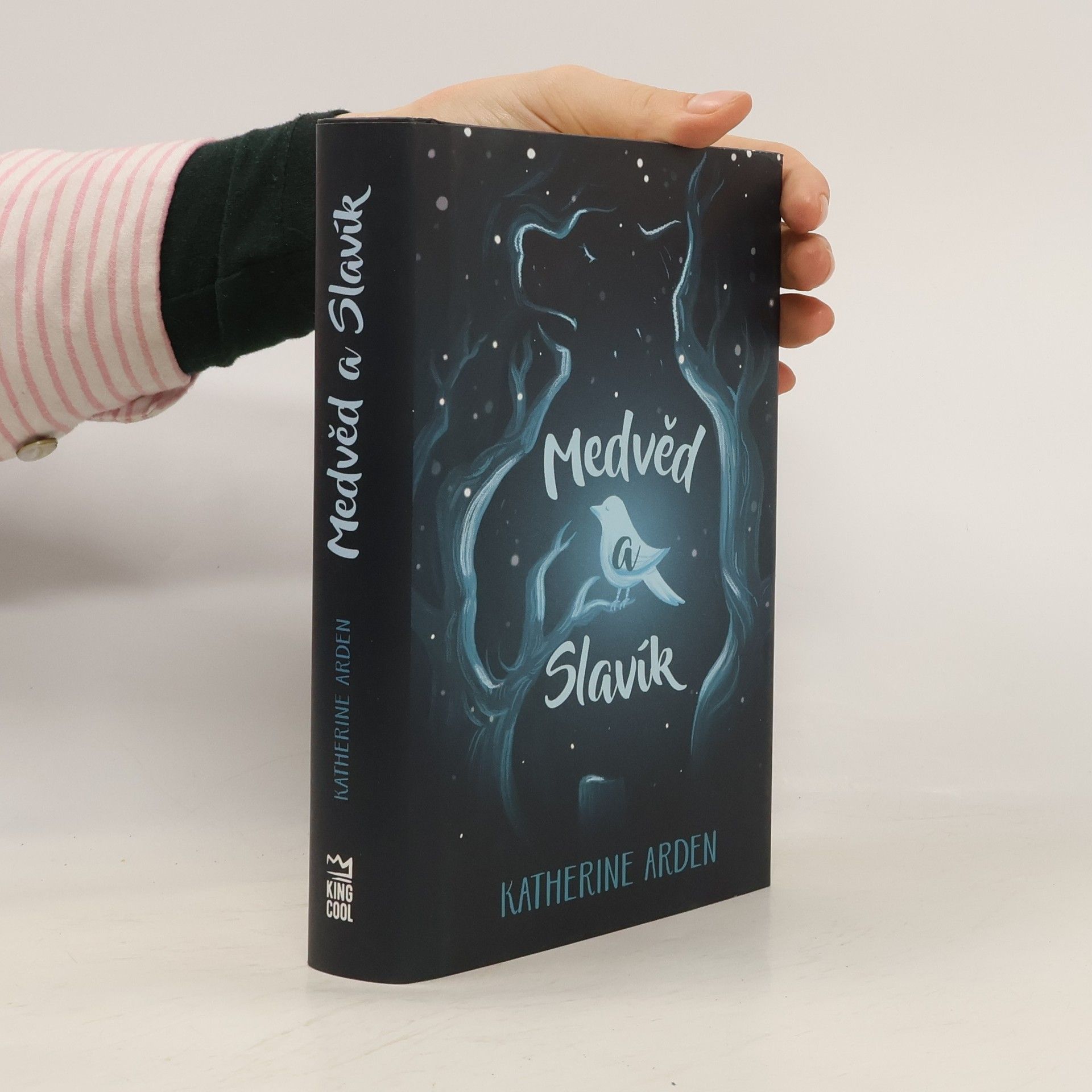 Katherine Arden Medvěd a Slavík