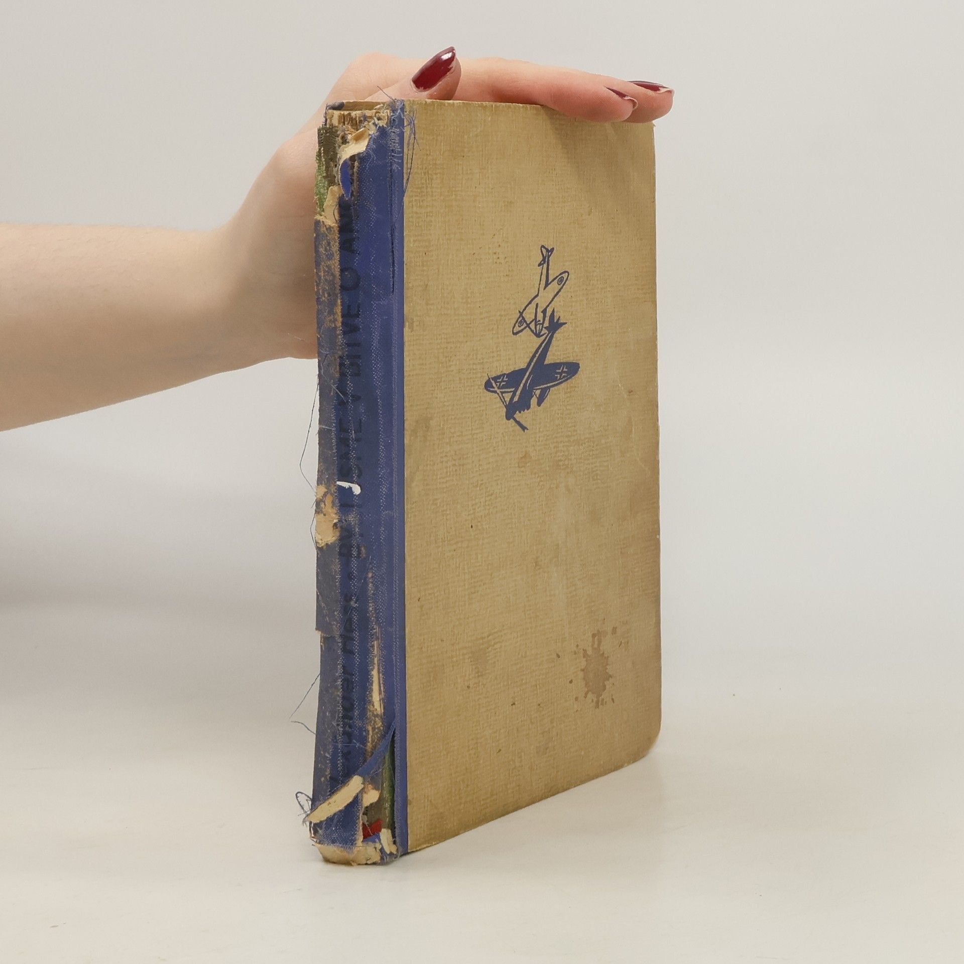 Alexander Hess Byli jsme v Bitvě o Anglii